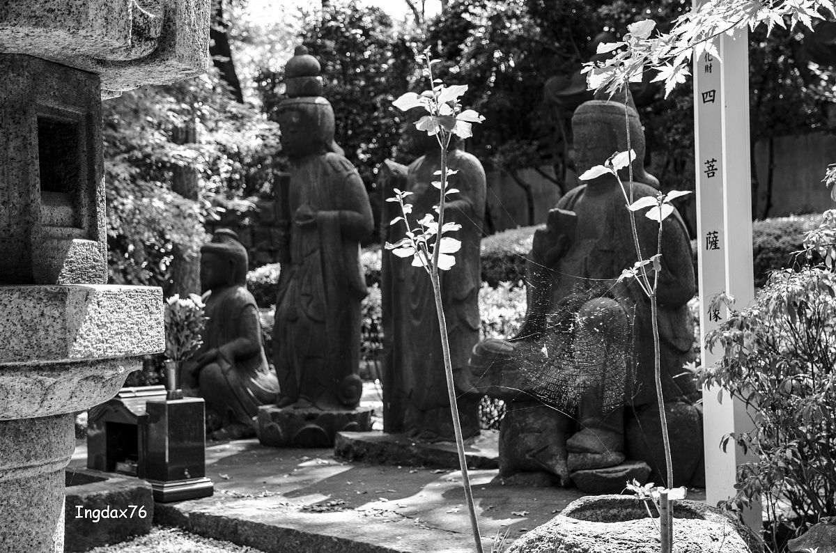 Tokyo Zojo-ji iso 100-f4-1/50 freehand