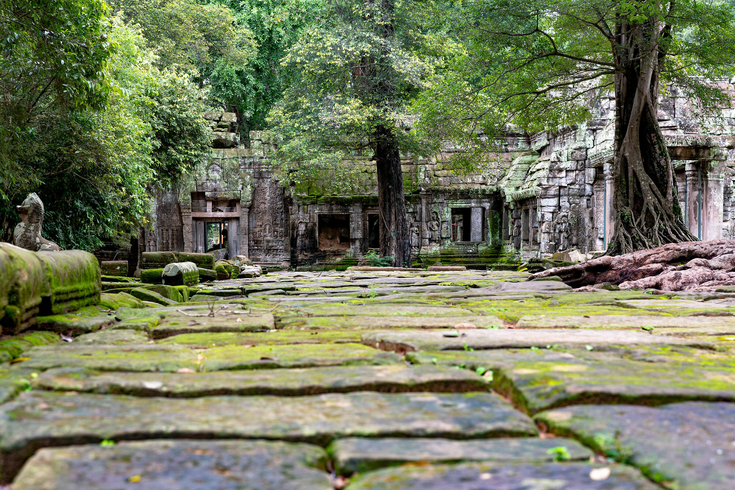 Bayon Temple