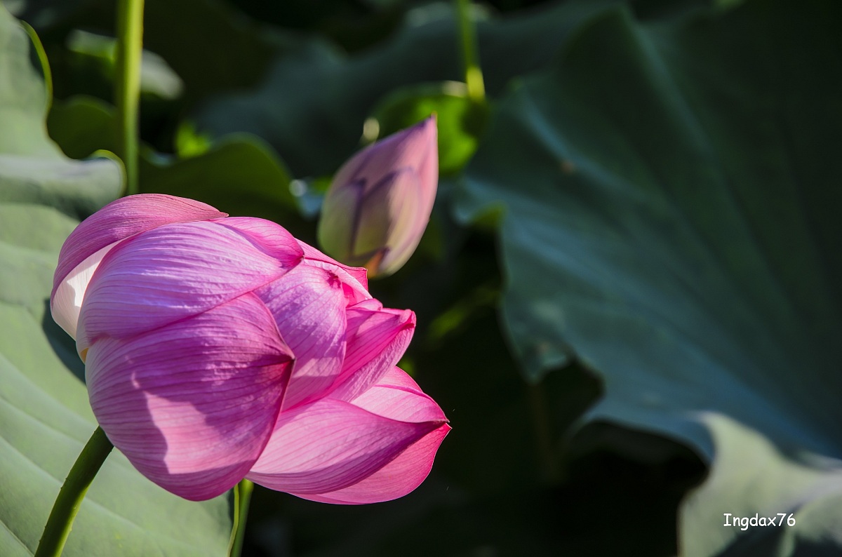 Tokyo Ueno area iso 100-f5-1/200 freehand