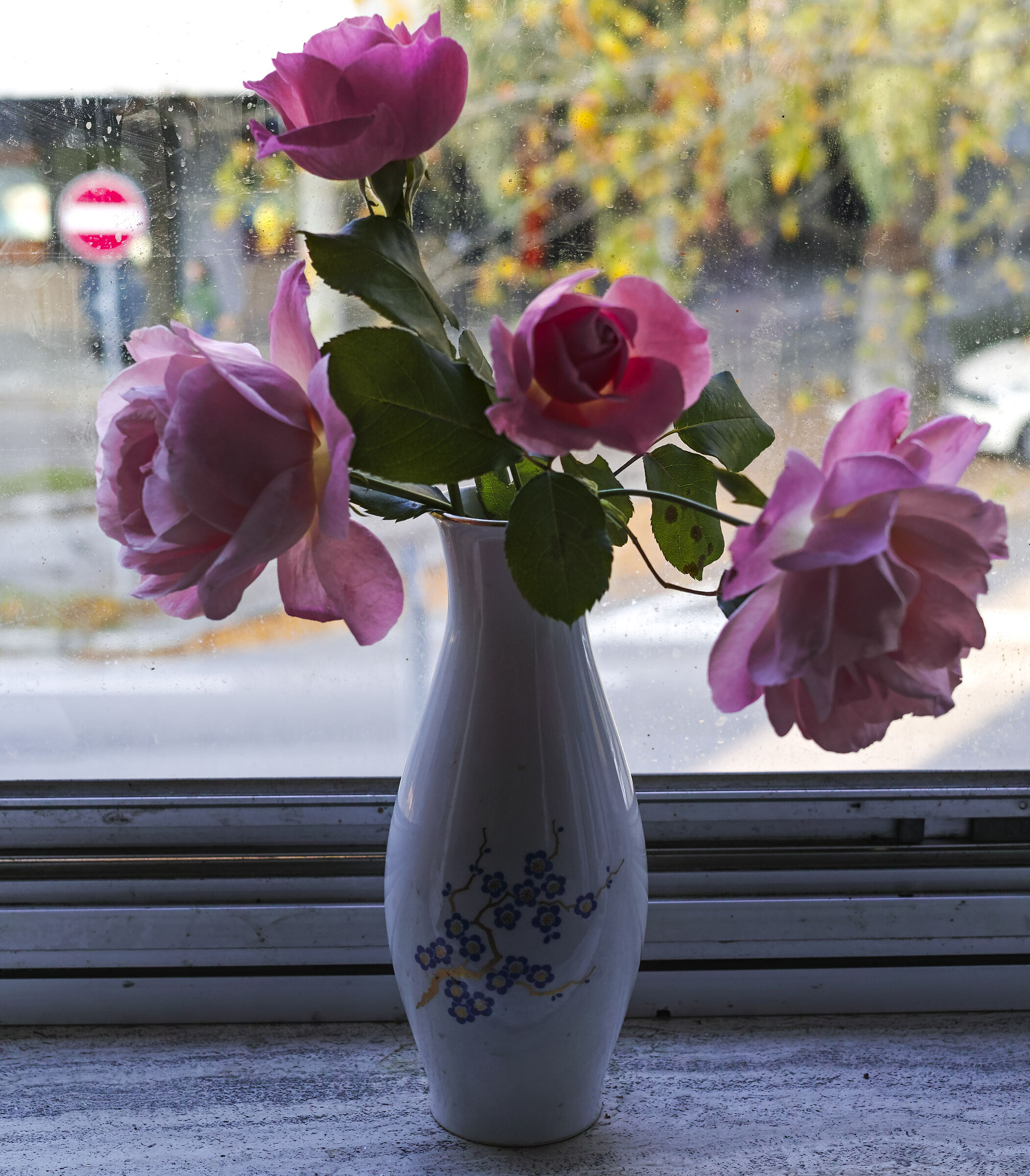 A little pink roses...
