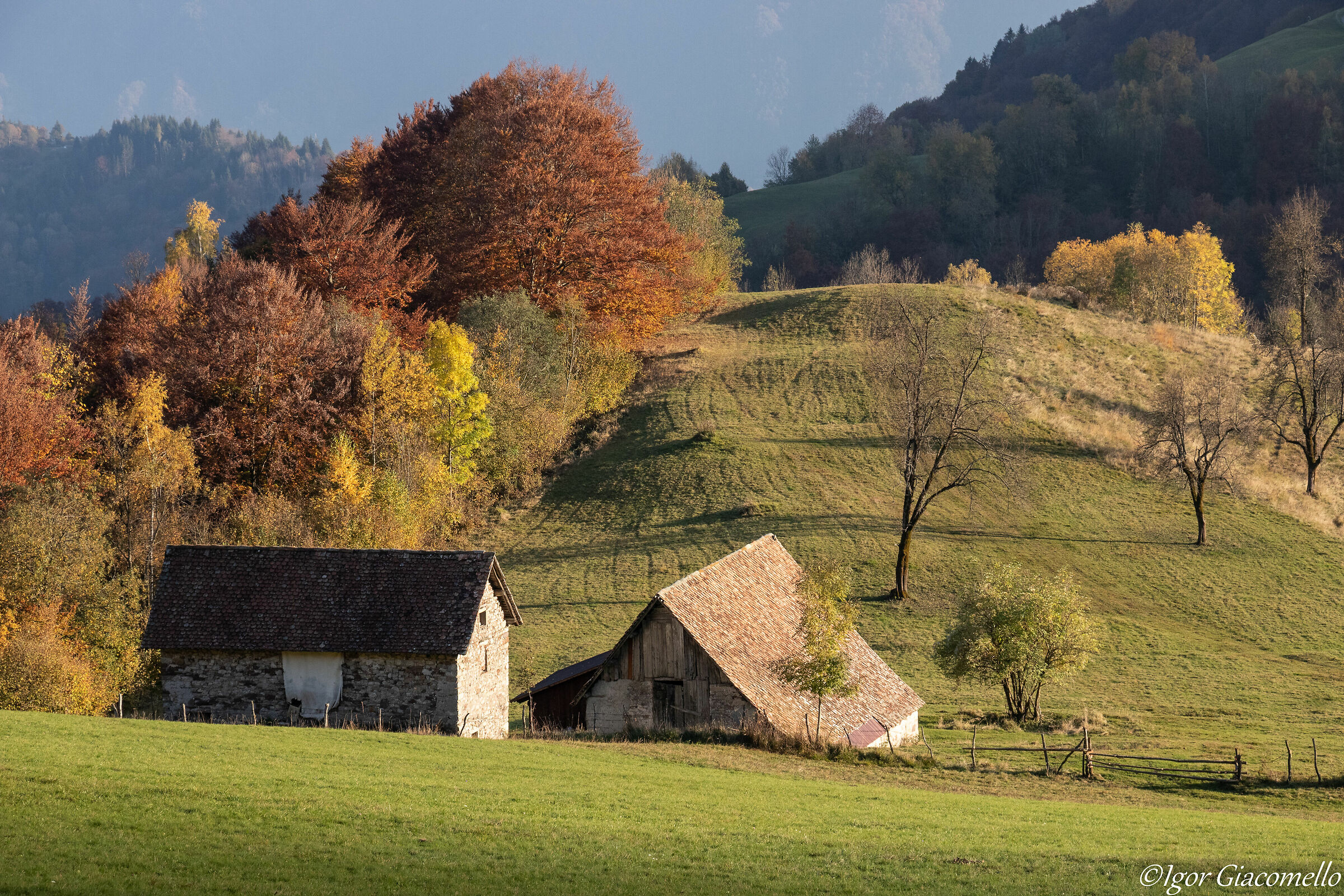 Autumn at the Pani cone