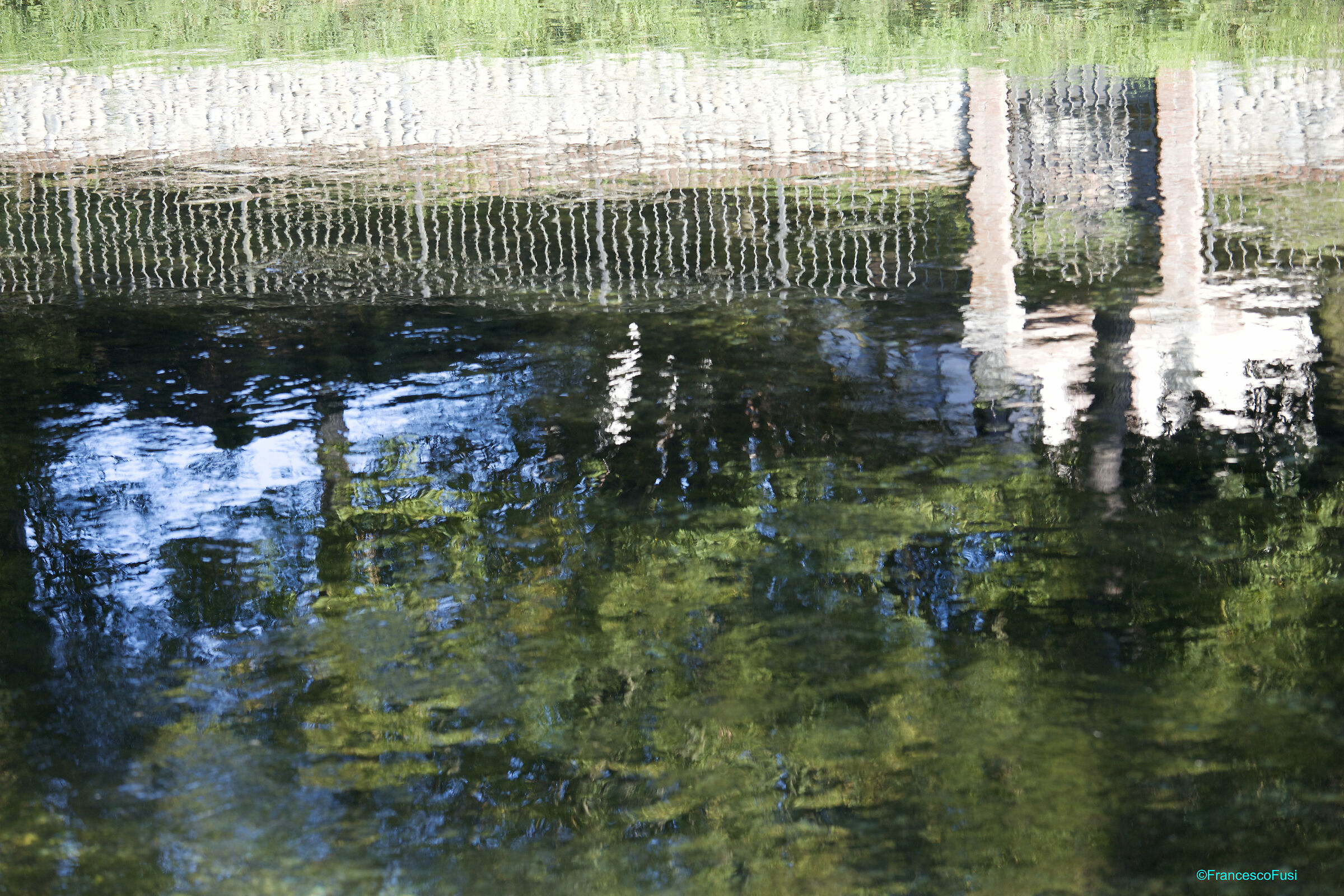 Il cancello, il verde e la voglia di cielo...