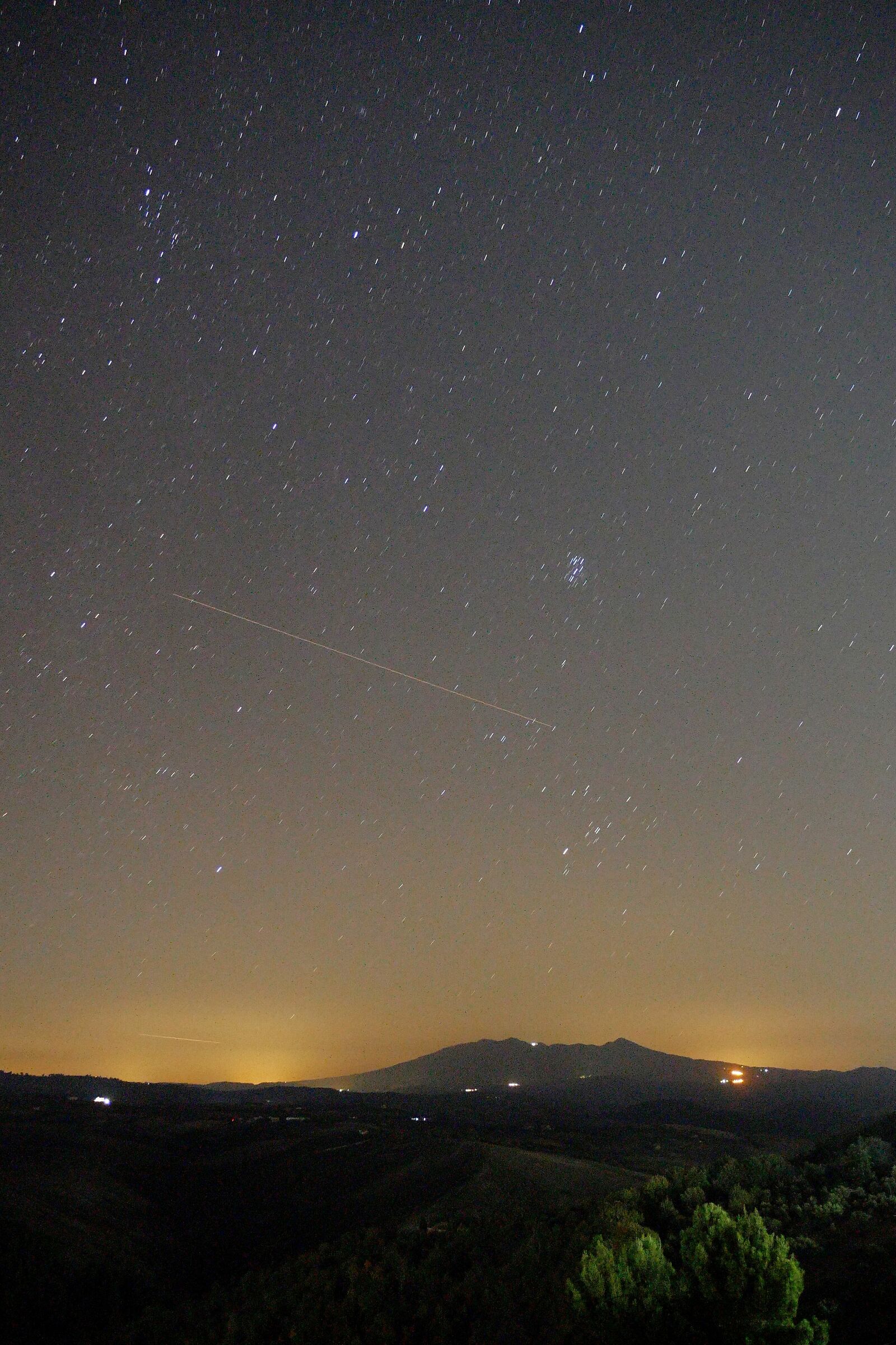 The Vulture at Night_II