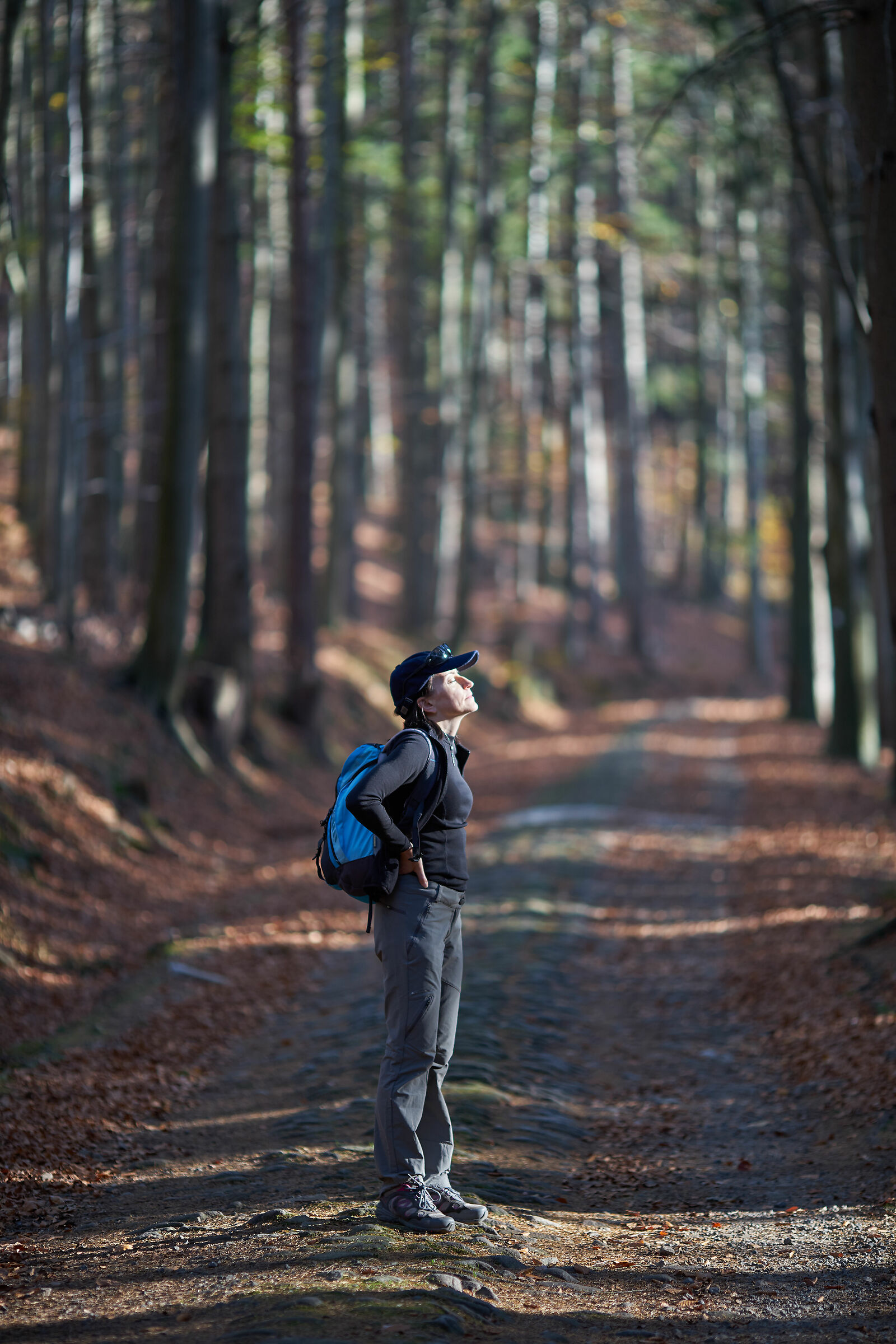 Autunm in the mountains 2