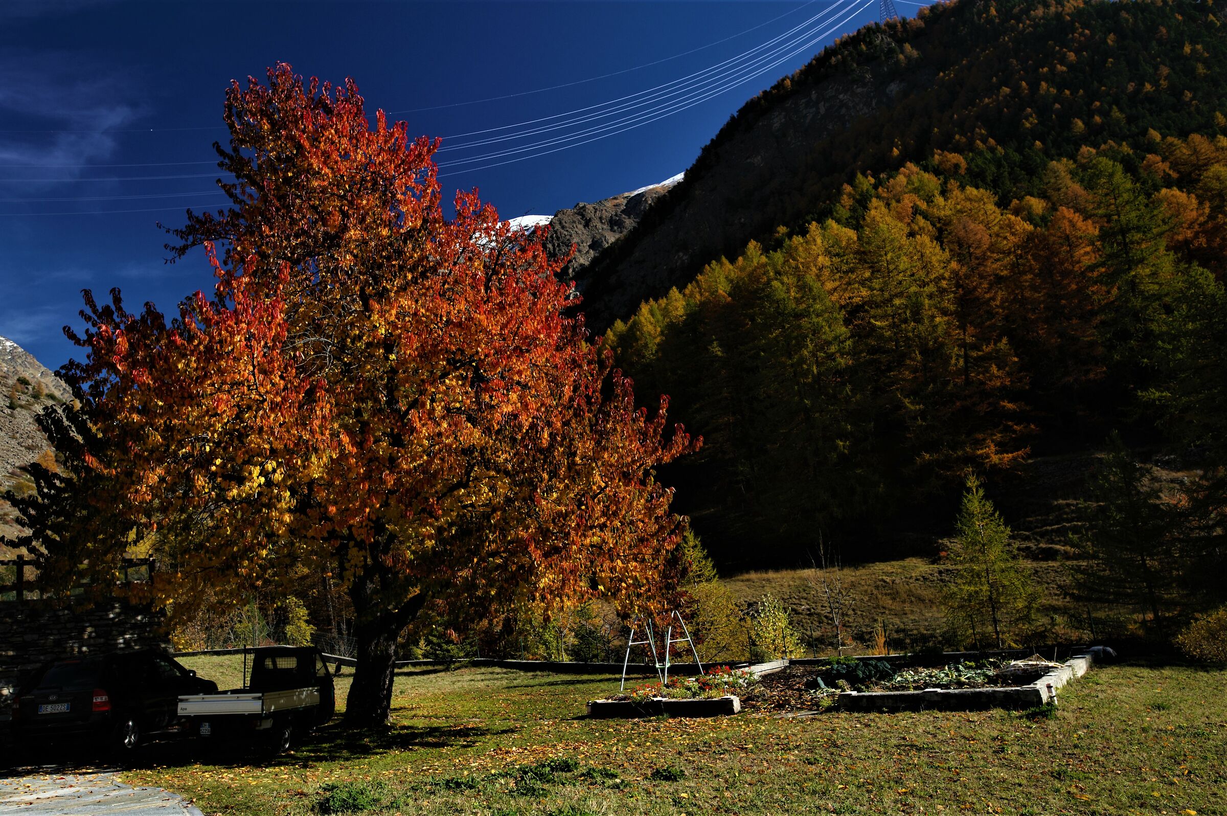 Autumn... with lines a little off the lines...