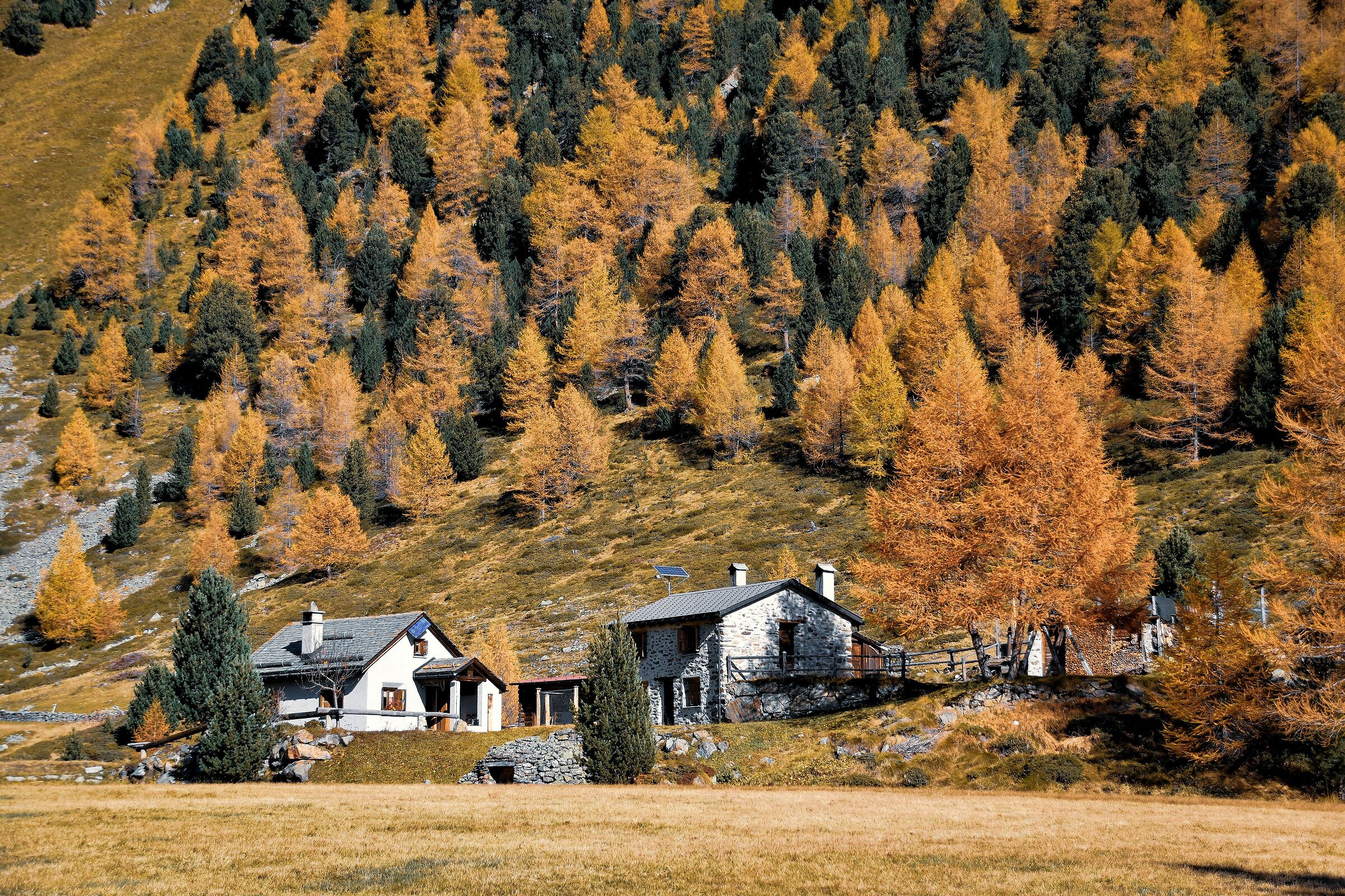 Autunno in Val Poschiavo