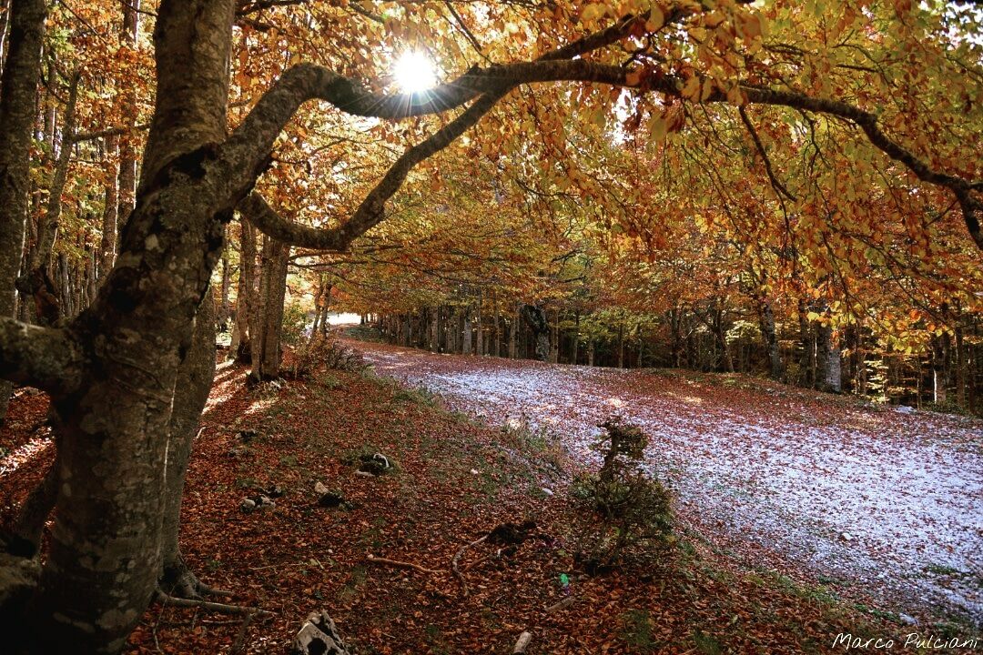 Campo dell'osso(subiaco)