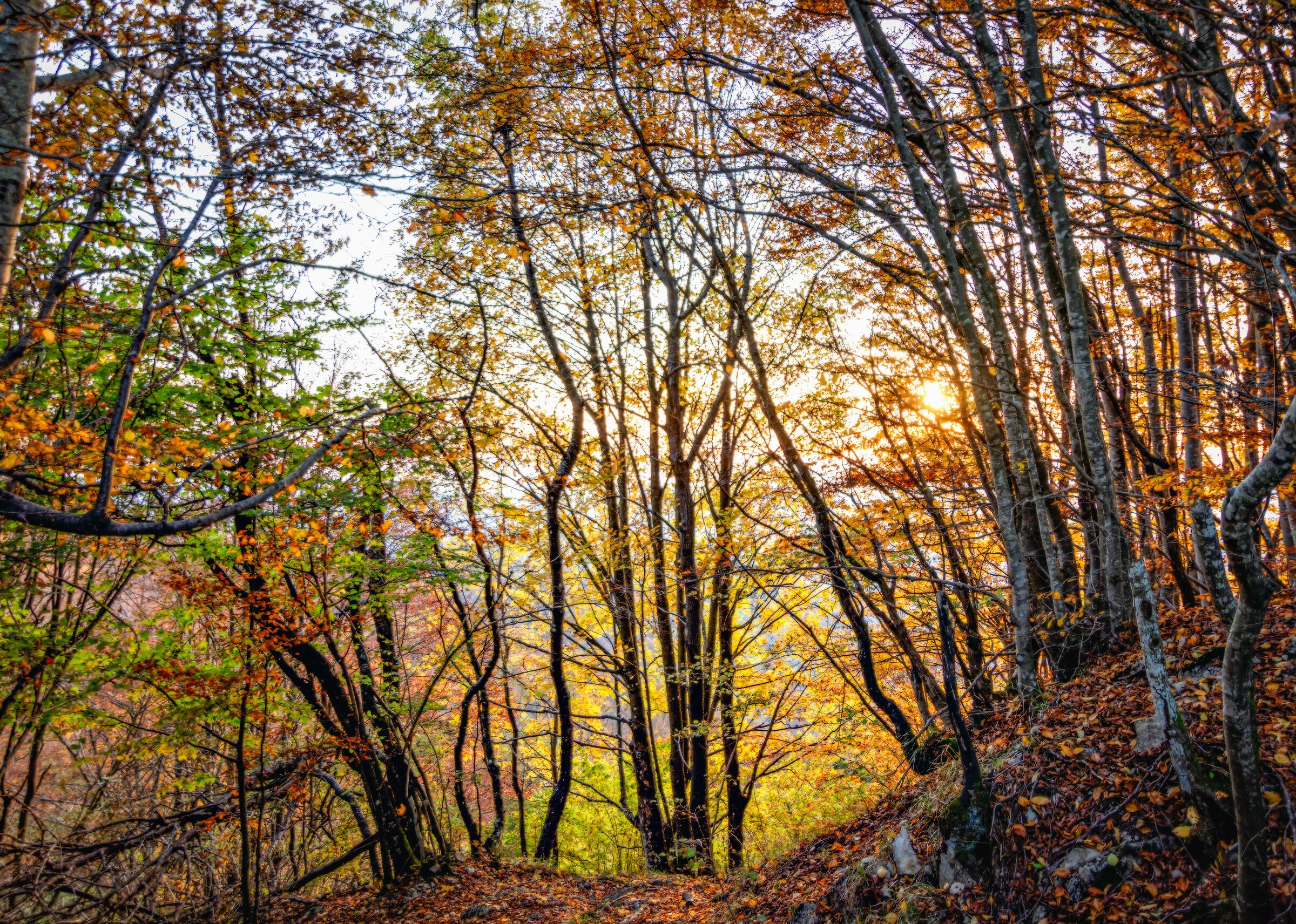 Autumn Antola Mountain