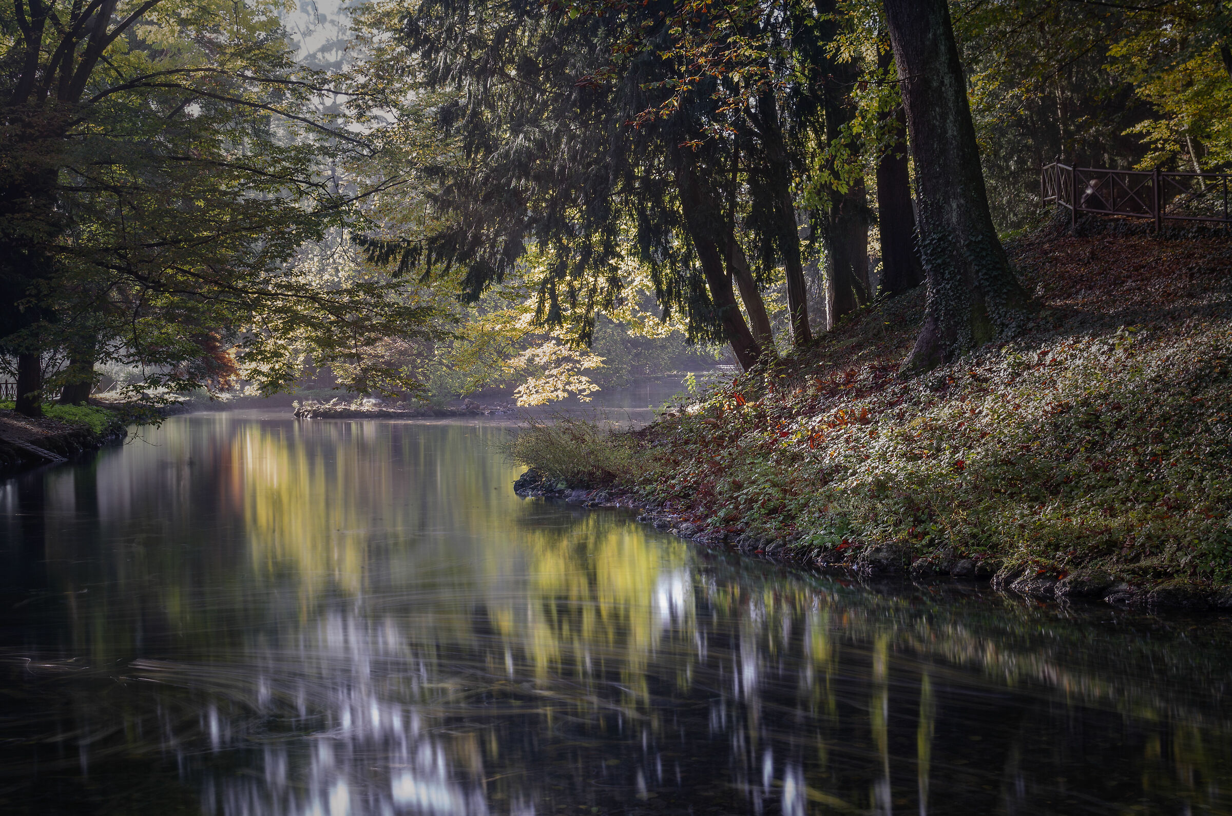 Scorcio nel parco di Monza