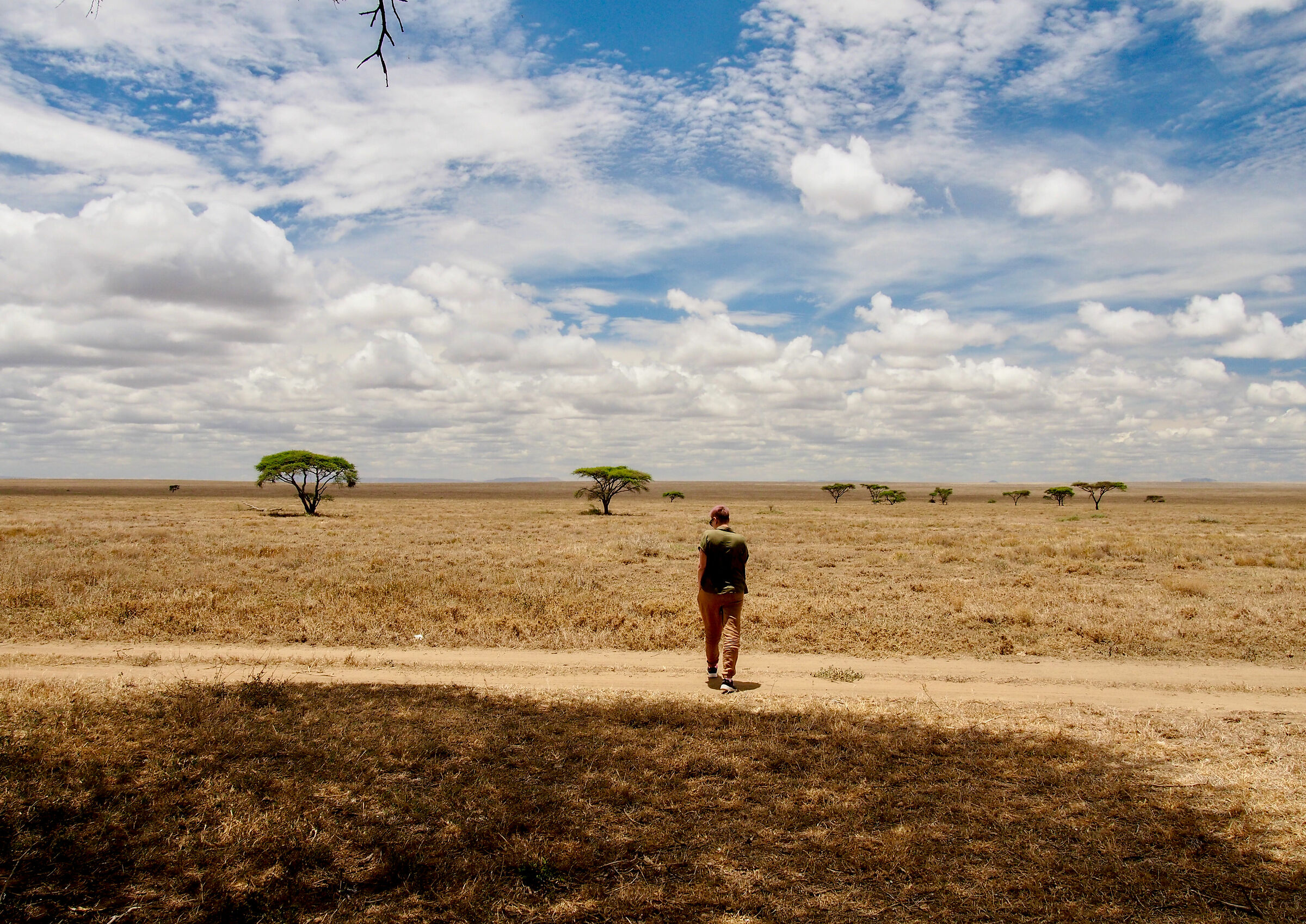 After lunch in the Serengeti
