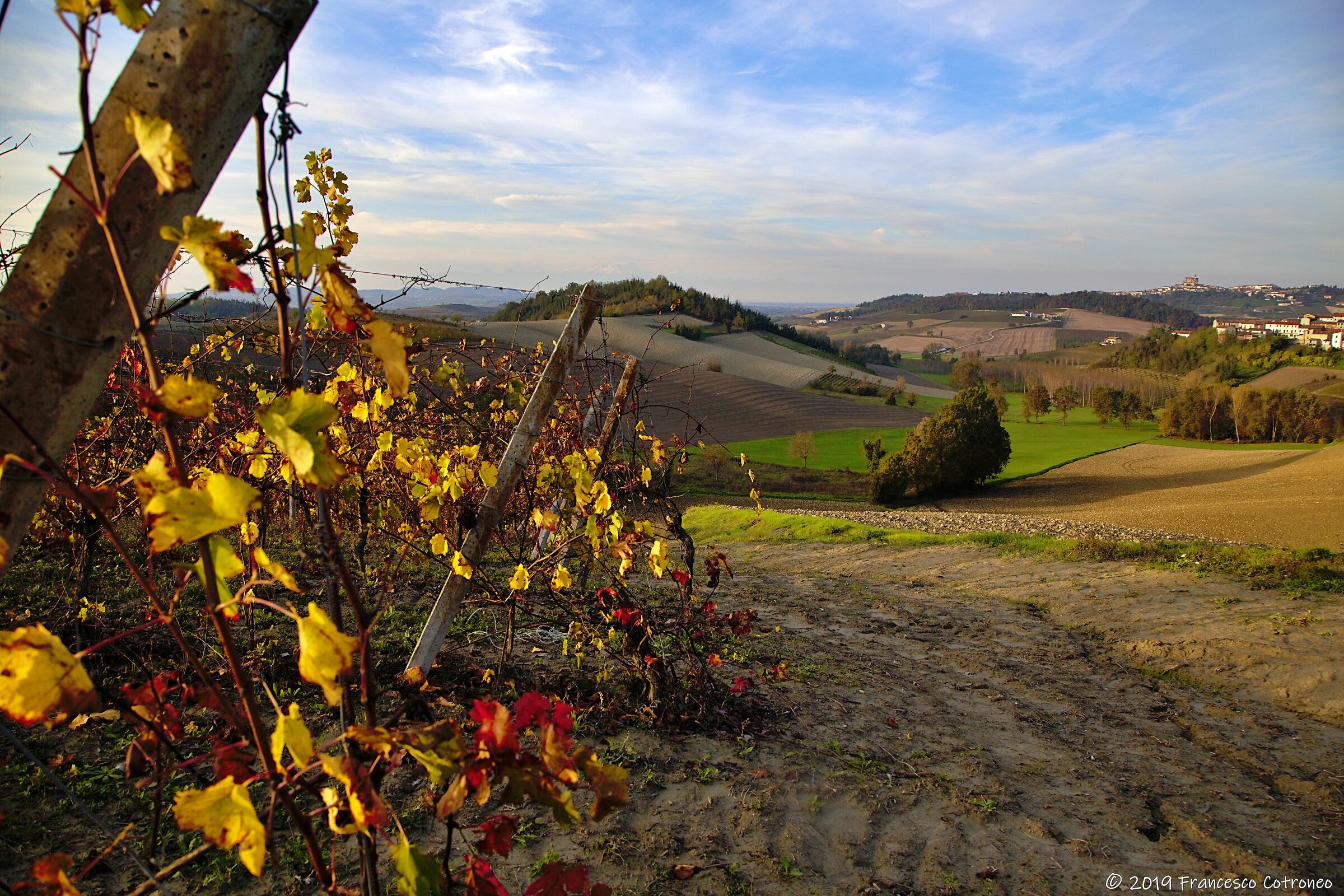Vigne e vino... uhmmm