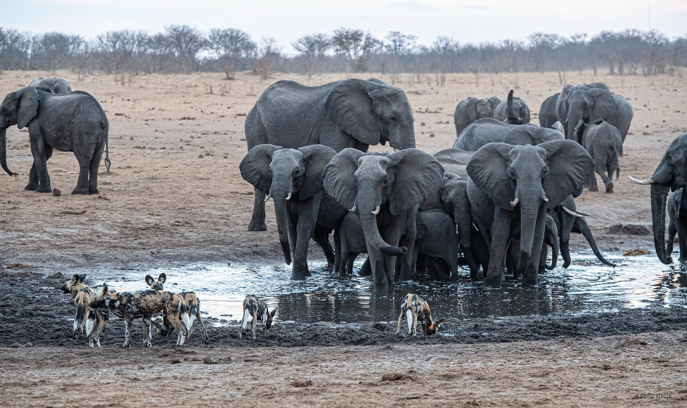 il controllo dell'acqua