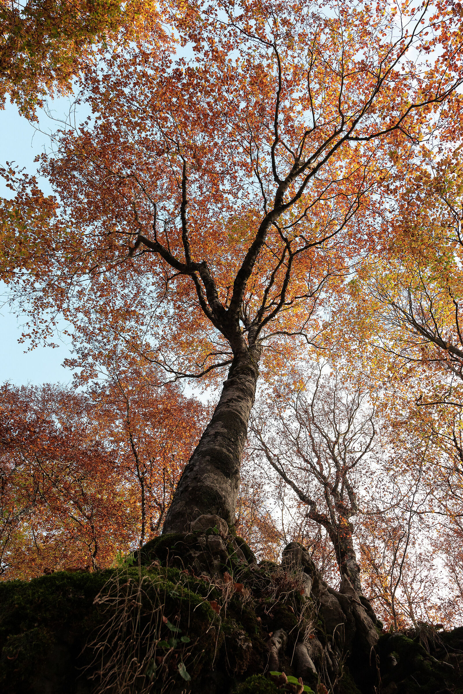 L'autunno è uno stato d'animo