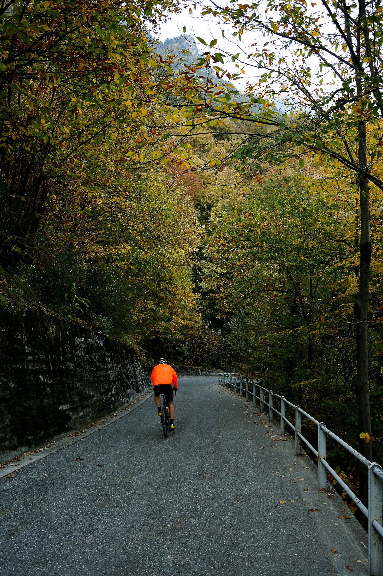dietro la curva, non si sa.