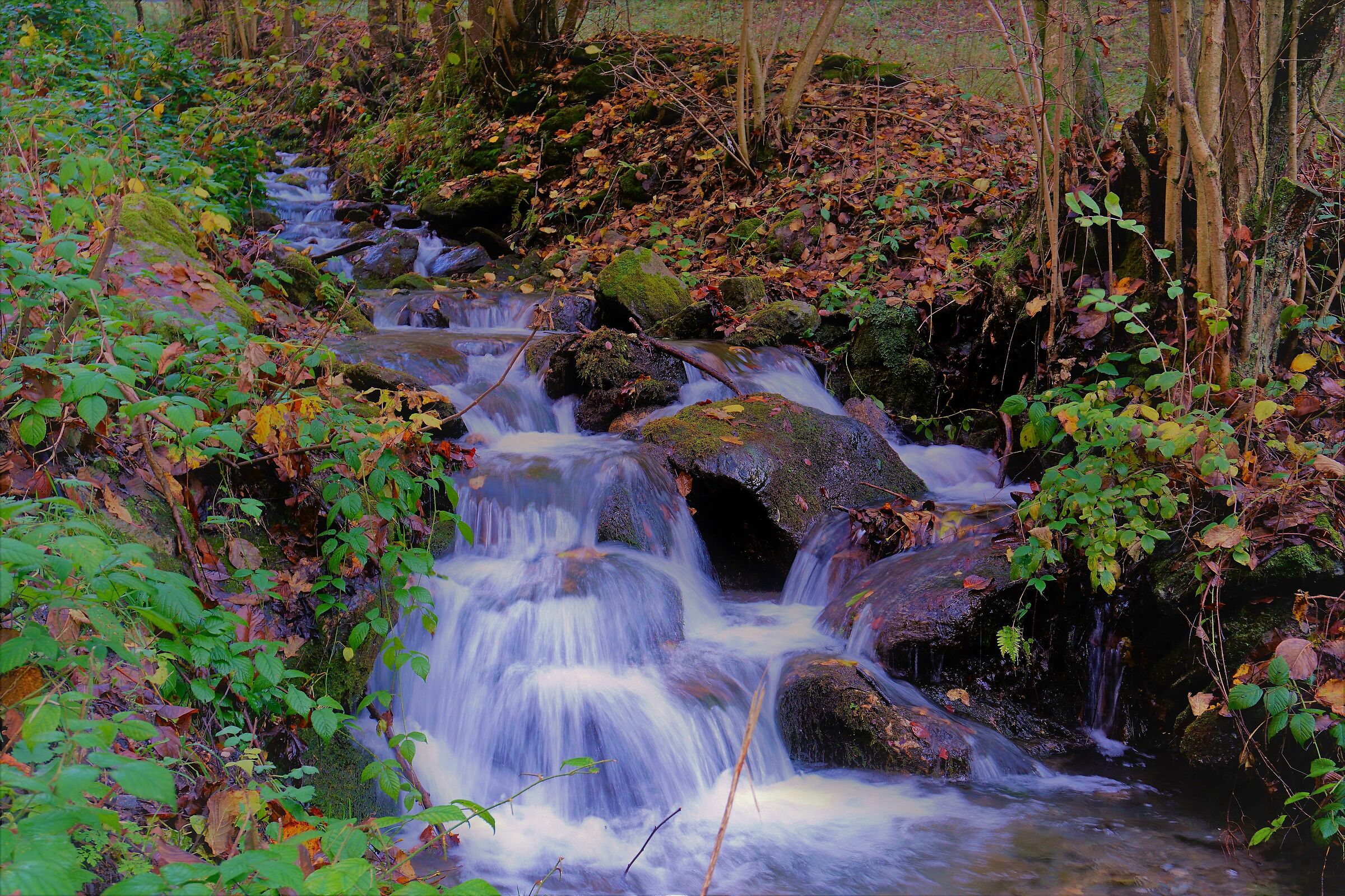 Imperfection ... perfection....