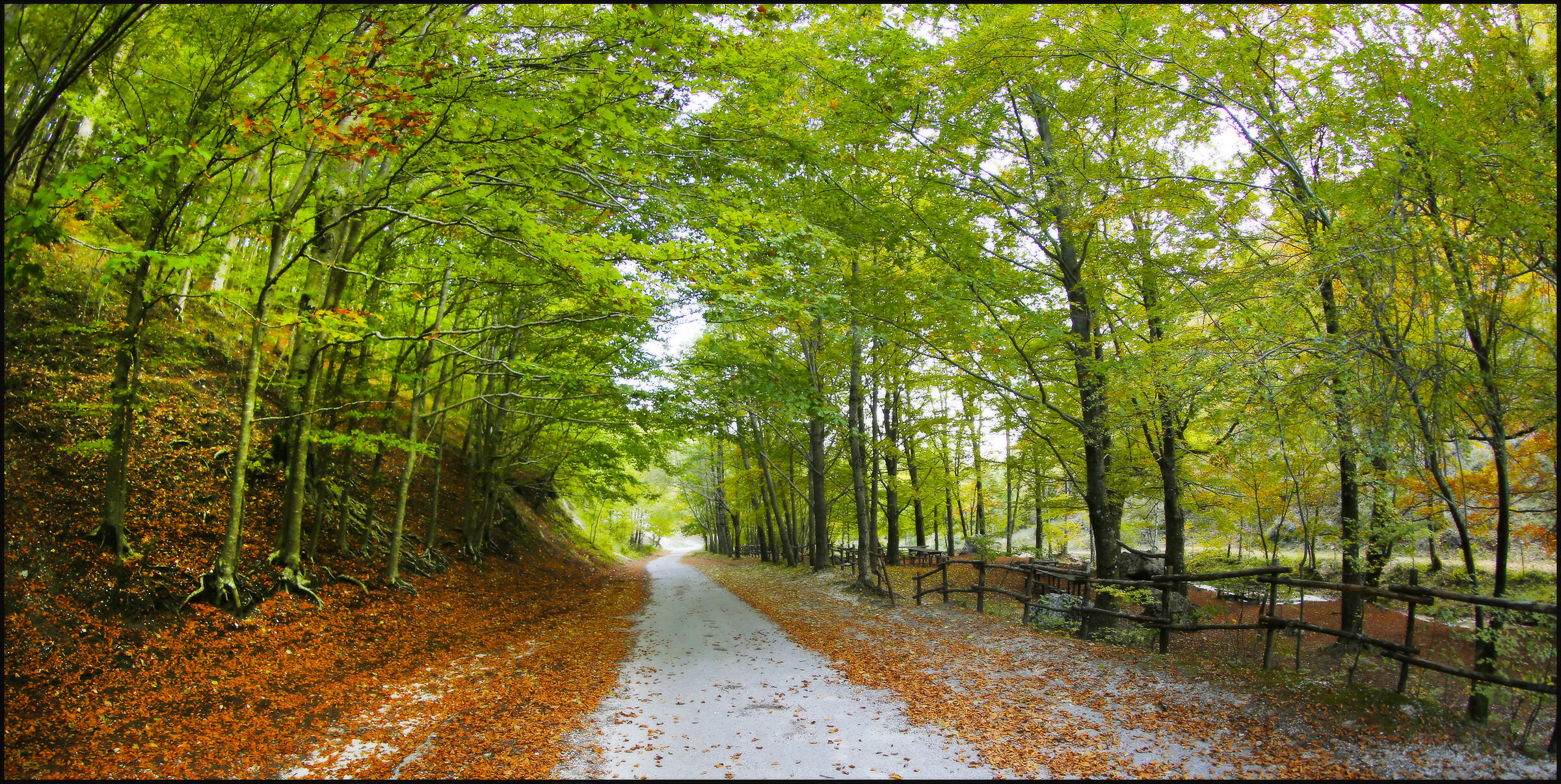Oasi del Polveracchio, Salerno