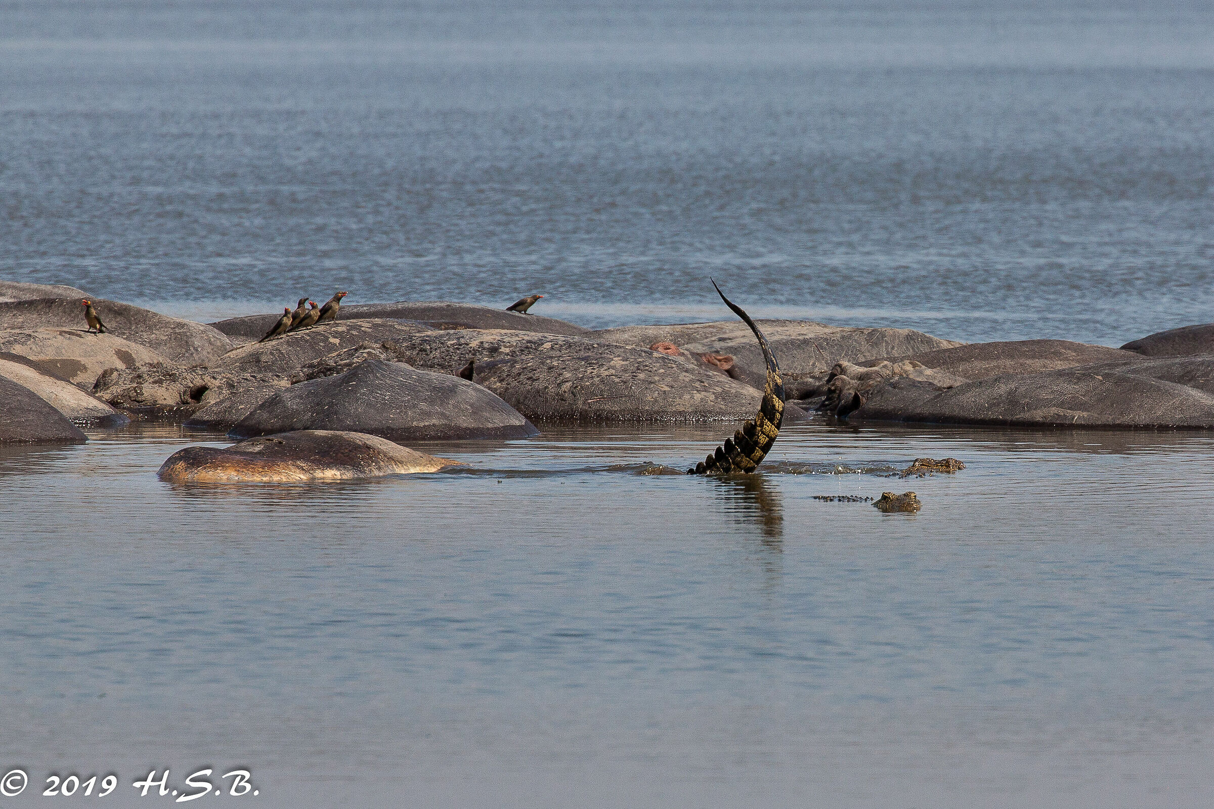 Death your life my life