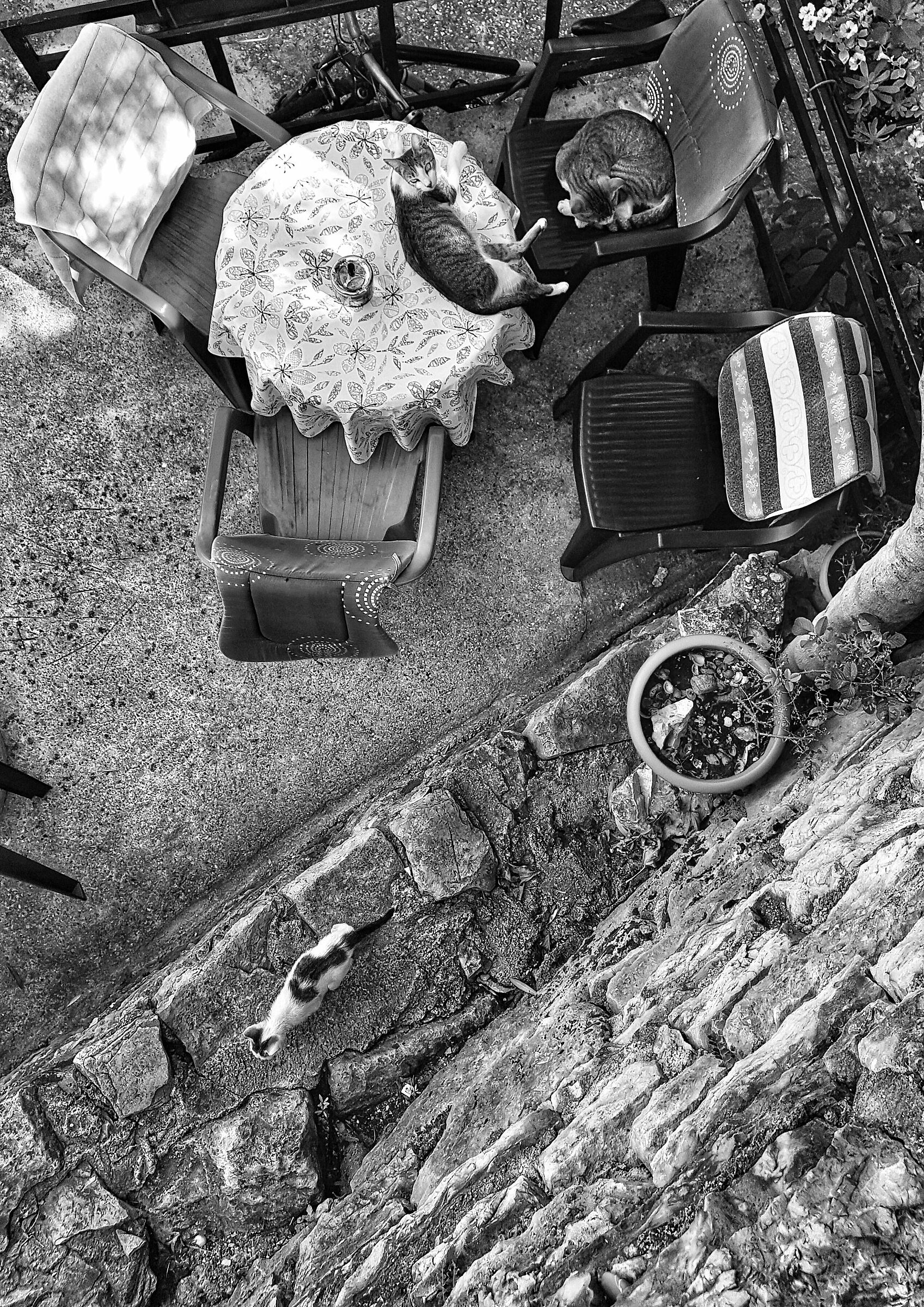 Non ti allontanare troppo eh?