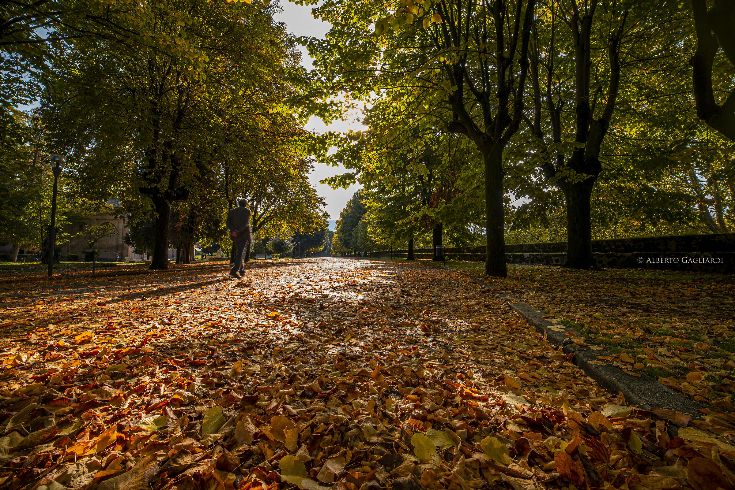 Passeggiata di Ottobre