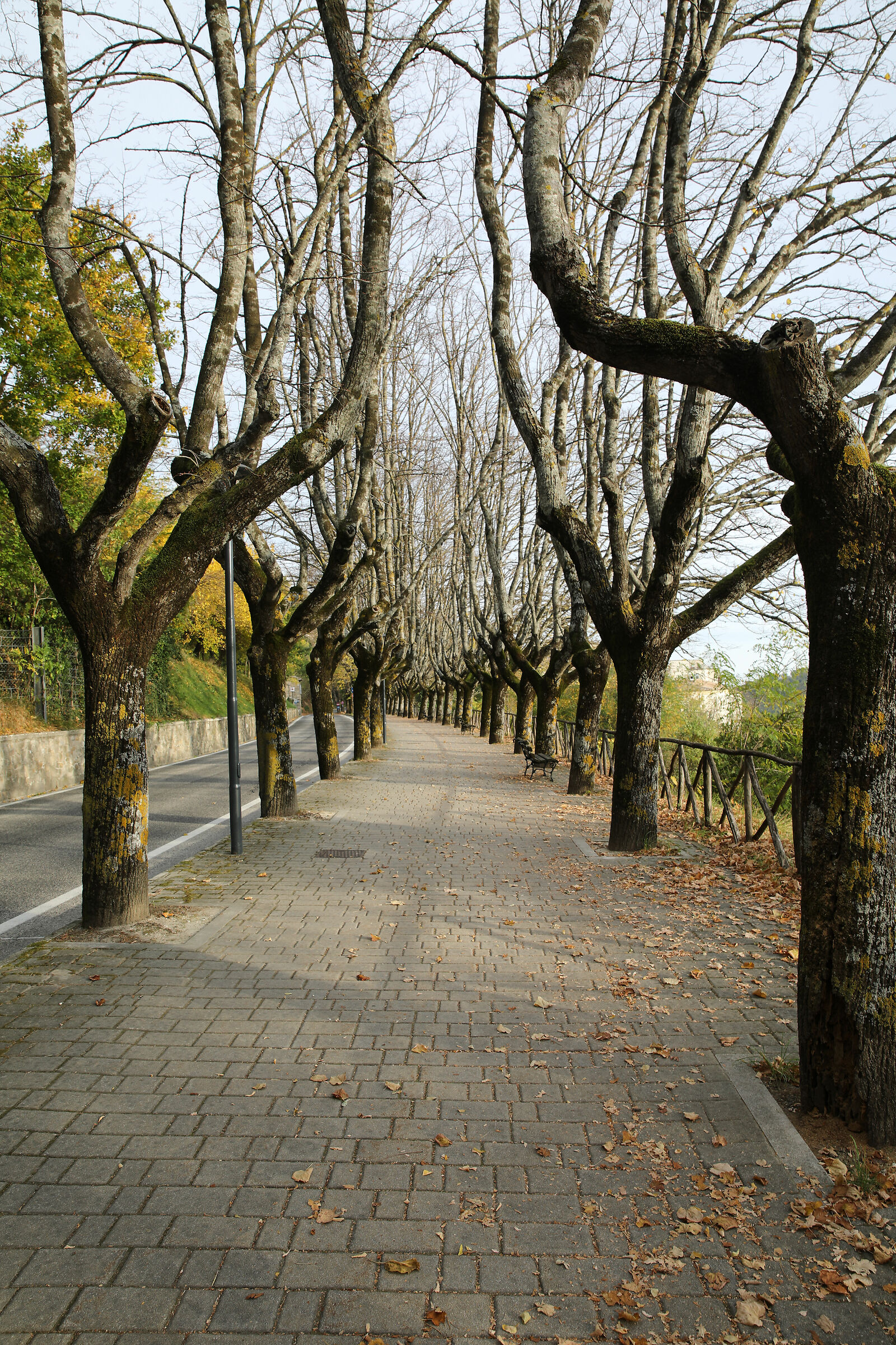 Avenues Valentini- Tracks ( MC)