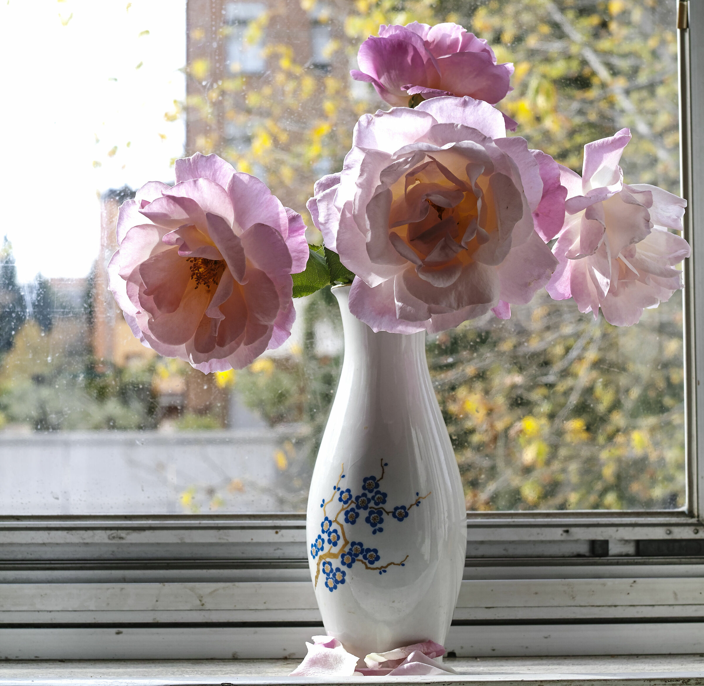 Pink Rose