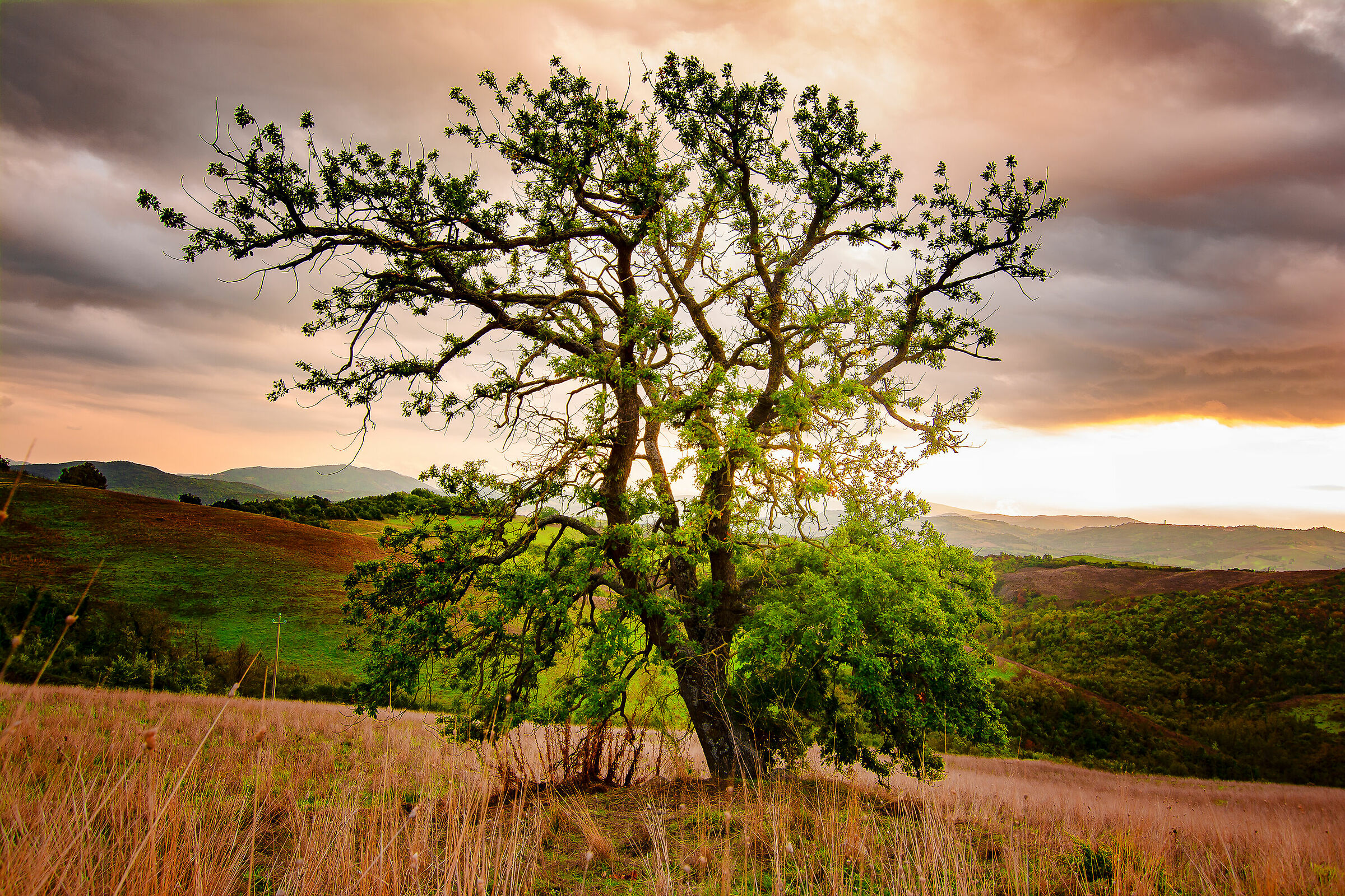 Spectator with a front row seat