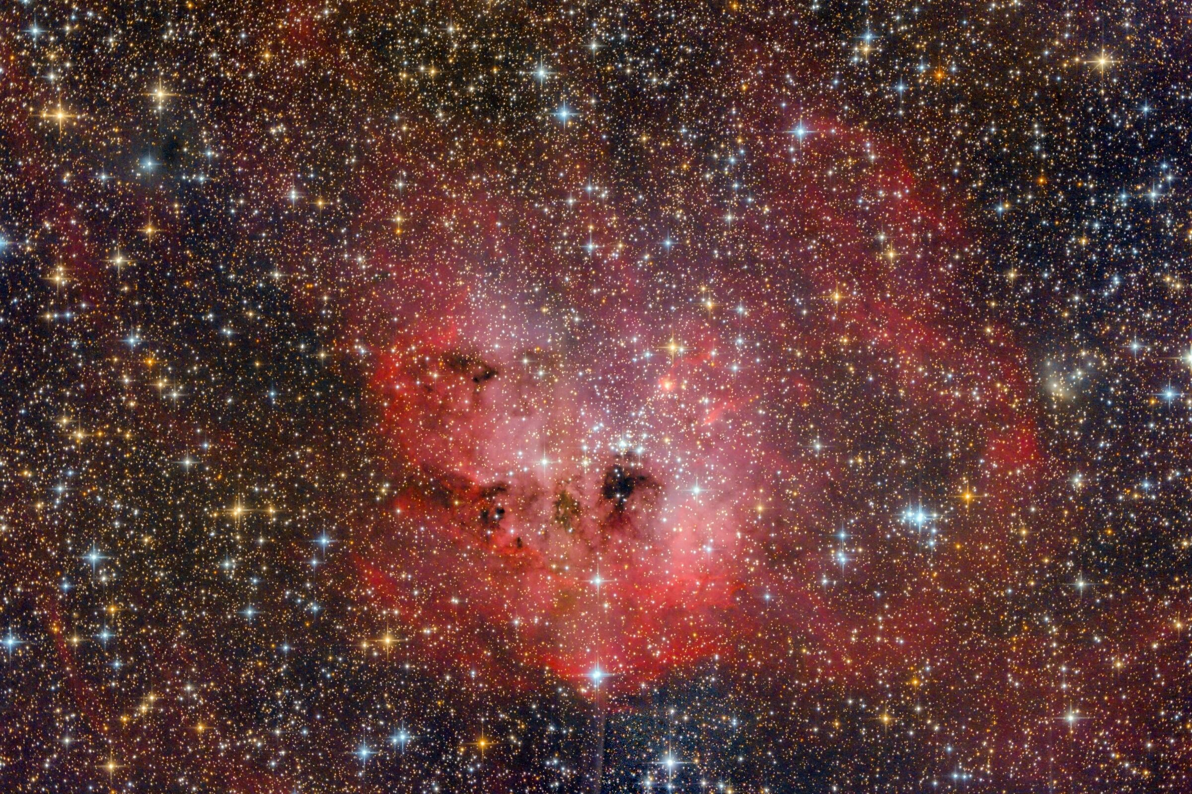 IC 410