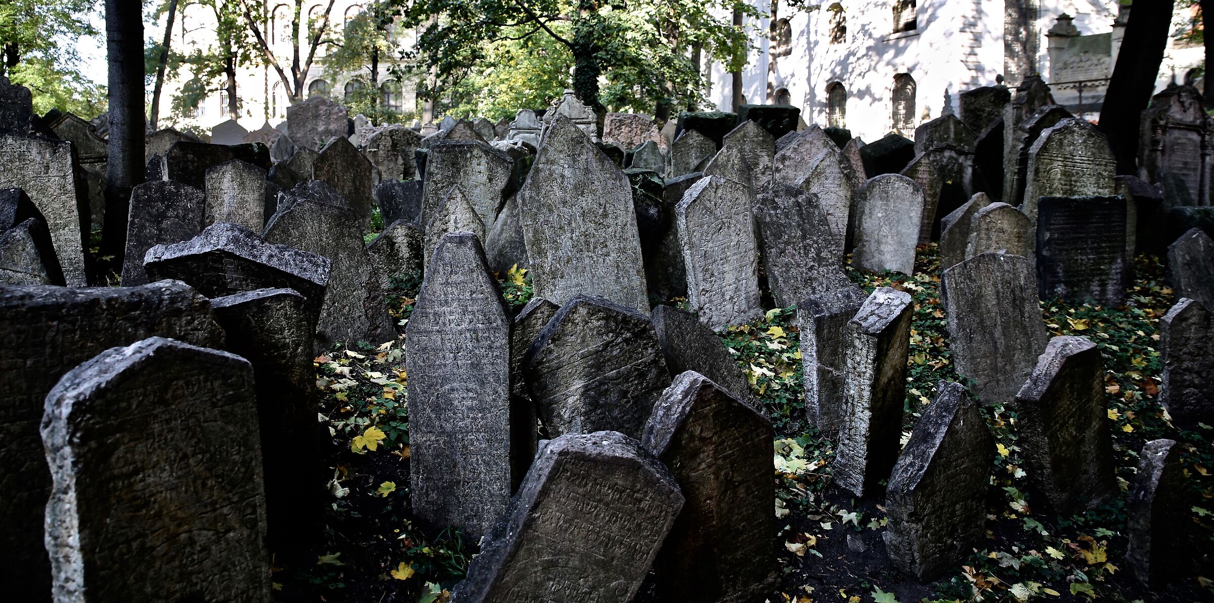 Prague Jewish cemetery