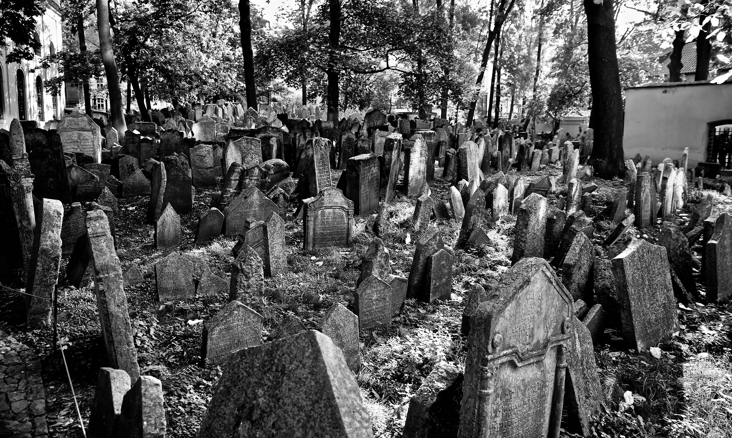 Prague Jewish cemetery