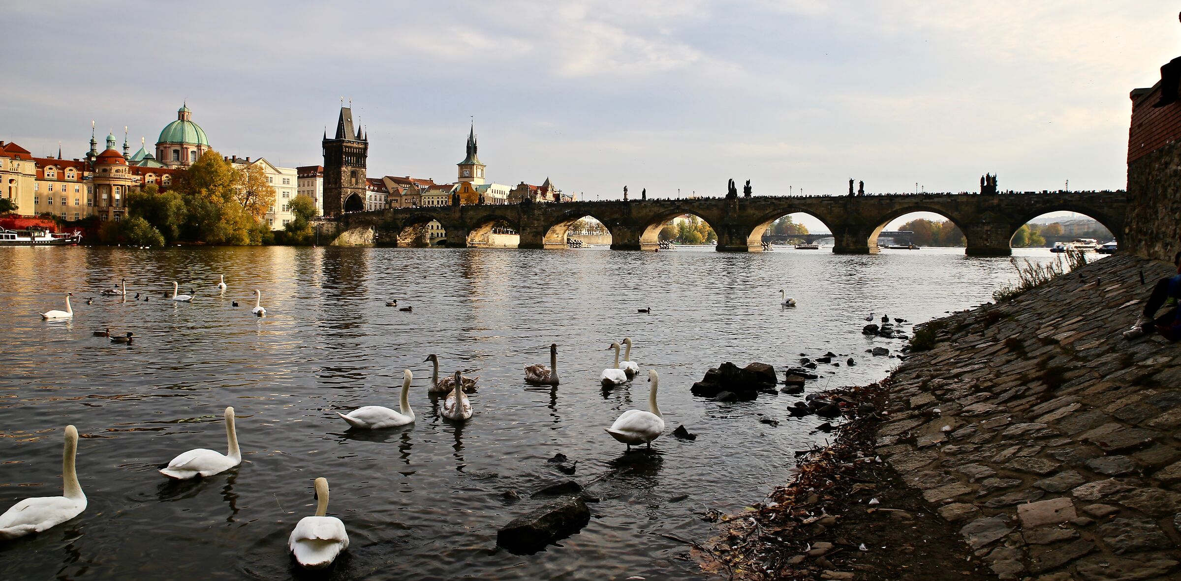 Prague Bridge Charles