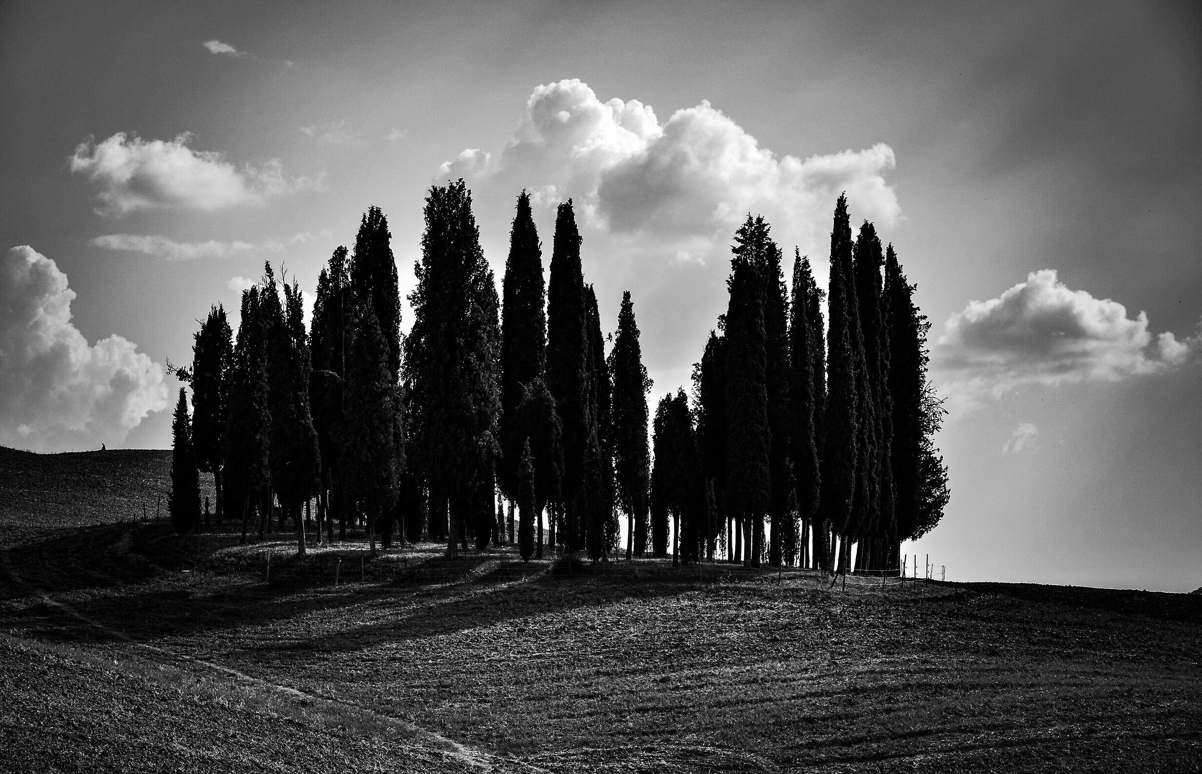 Last shot of the Val d'Orcia