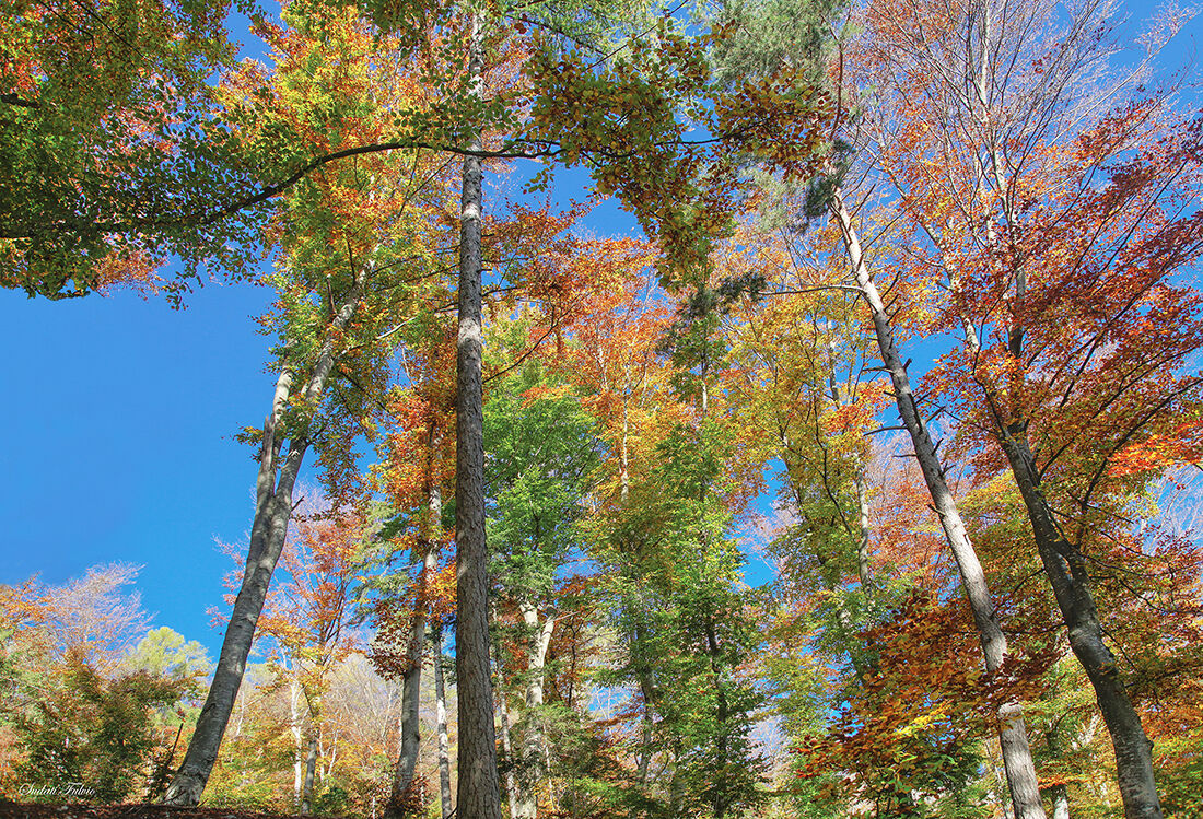 colors at the lake of cei