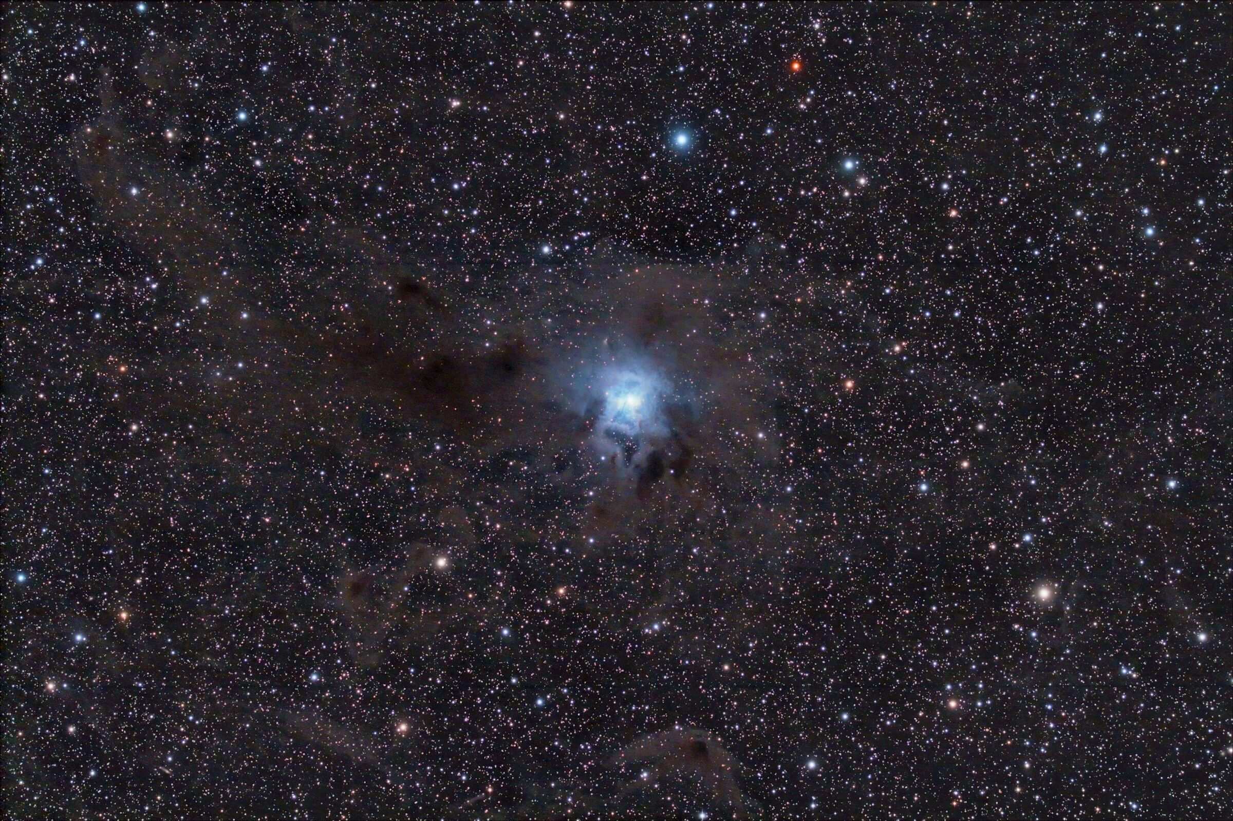 NGC 7023 - The Iris Nebula