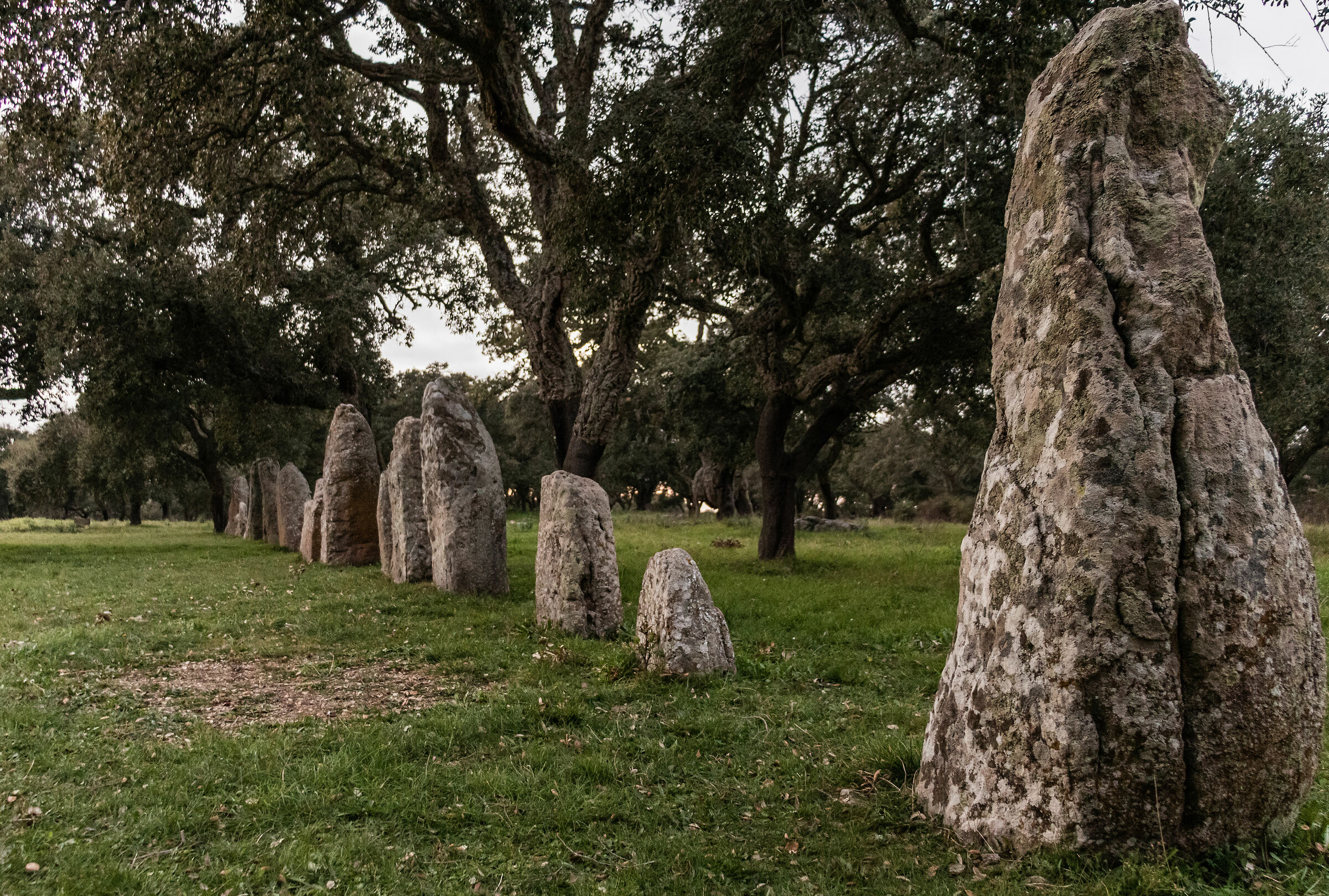 Mutteddu Pranu Park (Goni)