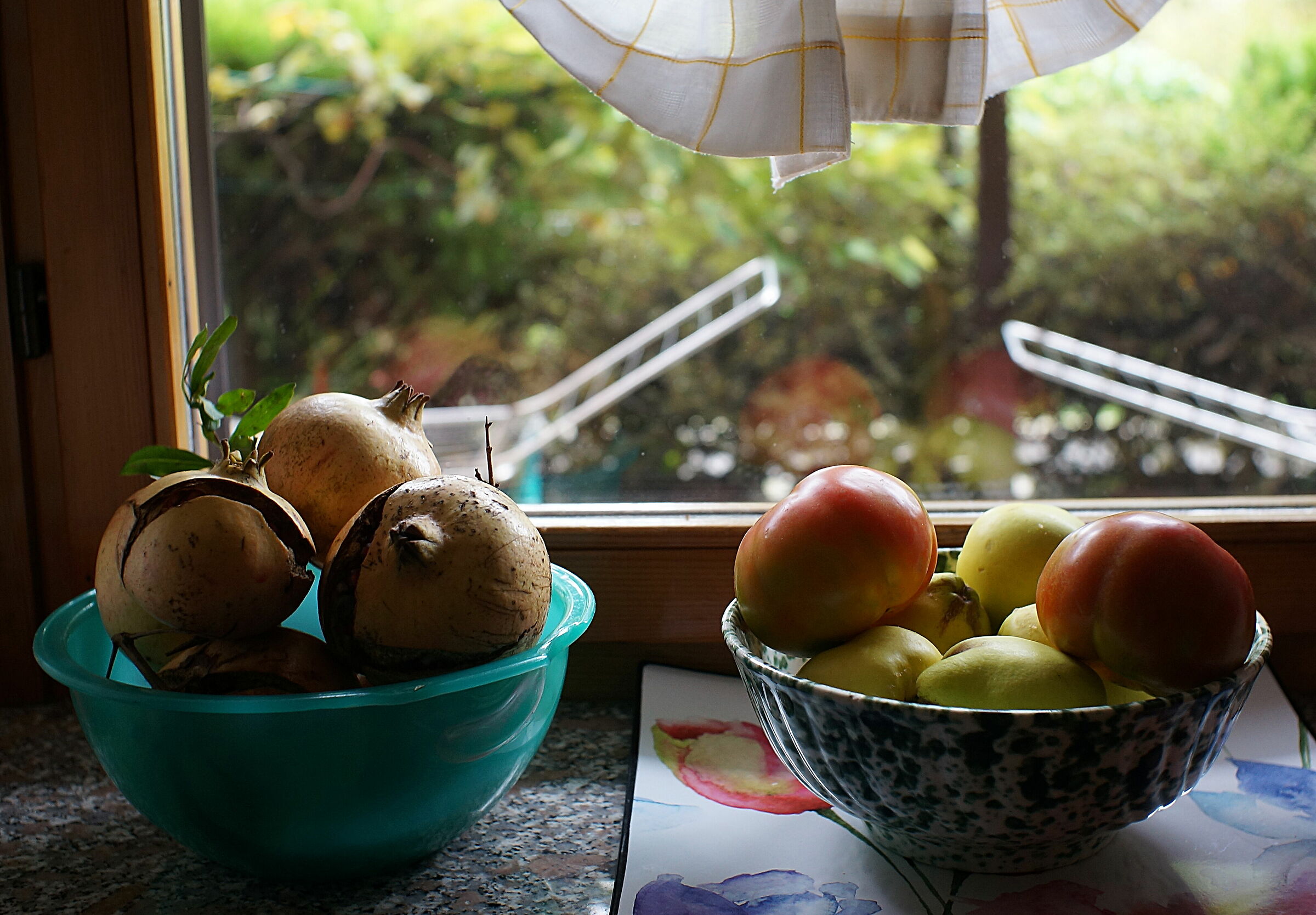 frutta