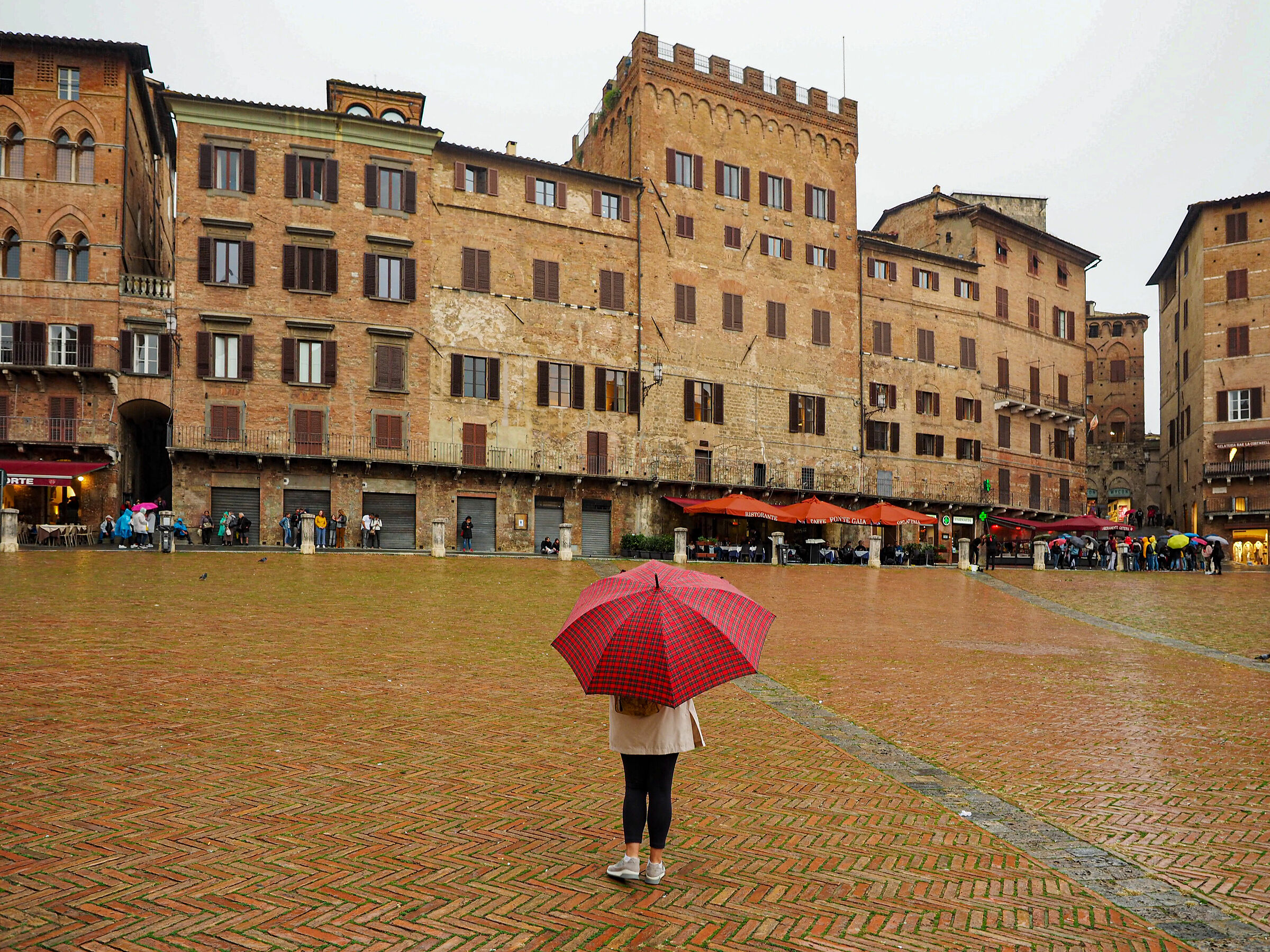 The Scottish umbrella