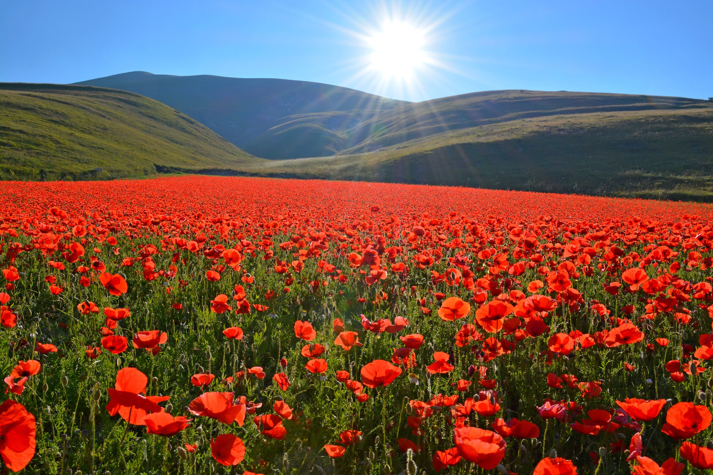 Il rosso di Castelluccio