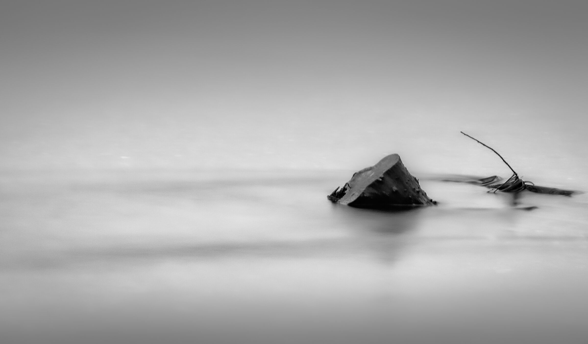 Fluid