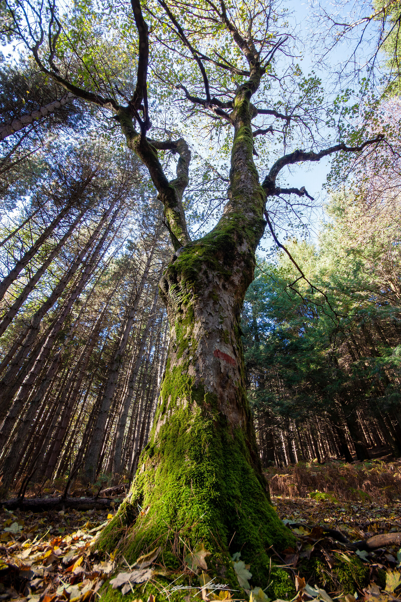 Lo spettacolo della natura...