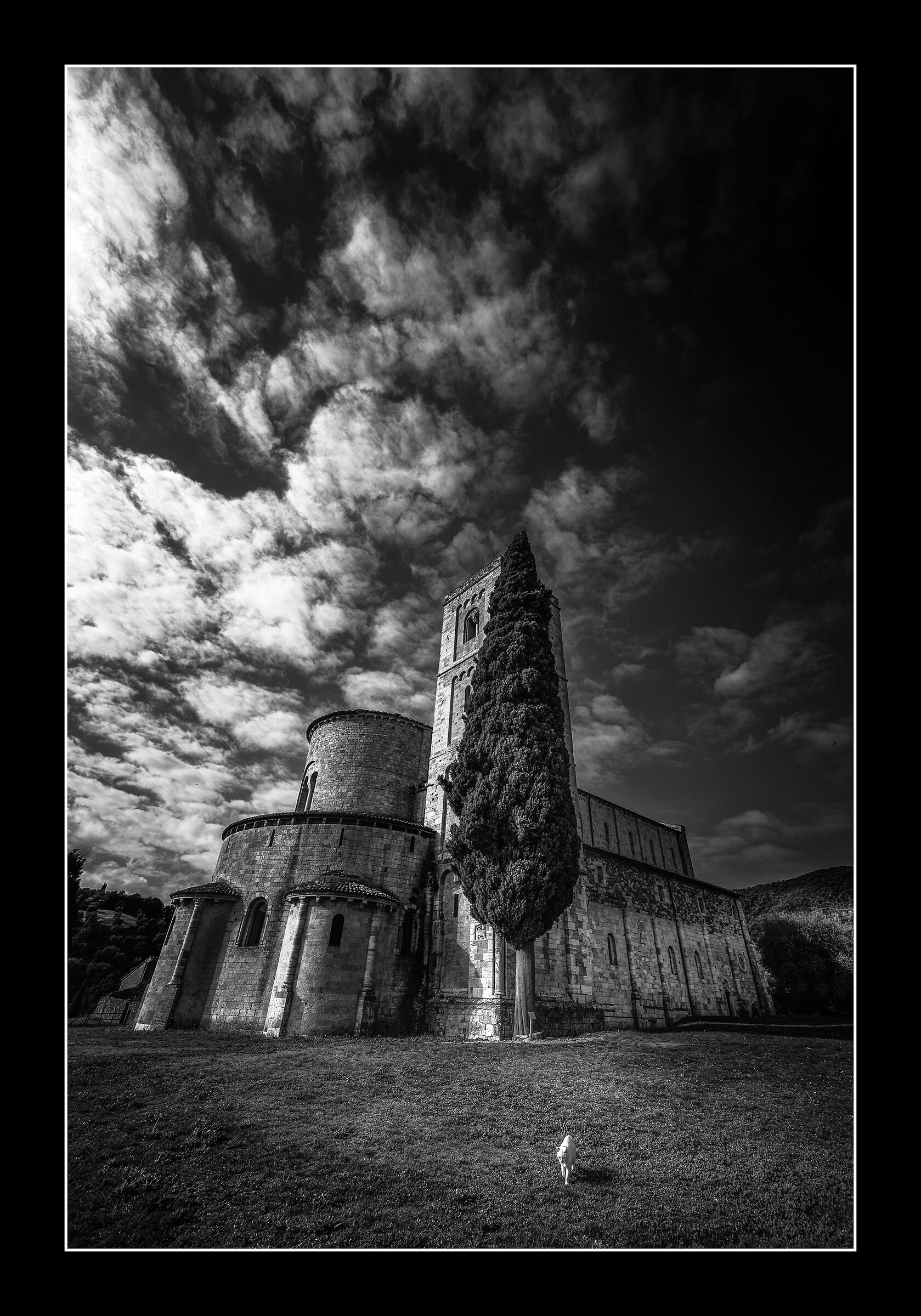 Il custode di Sant Antimo