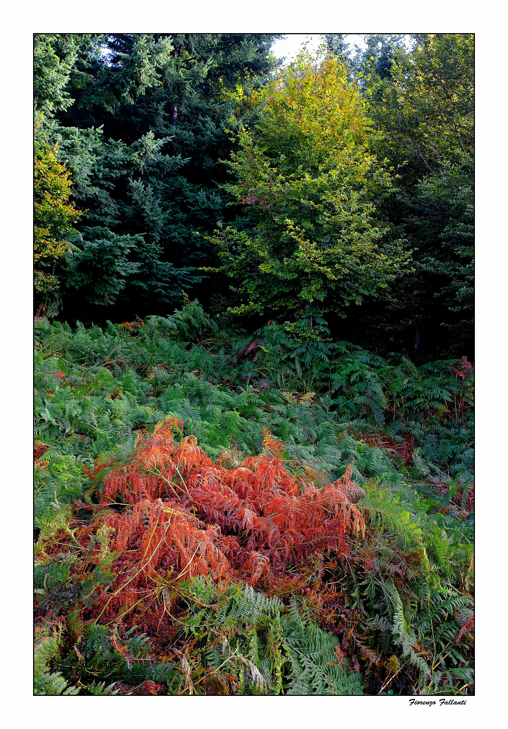 ..Ritardi autunnali..