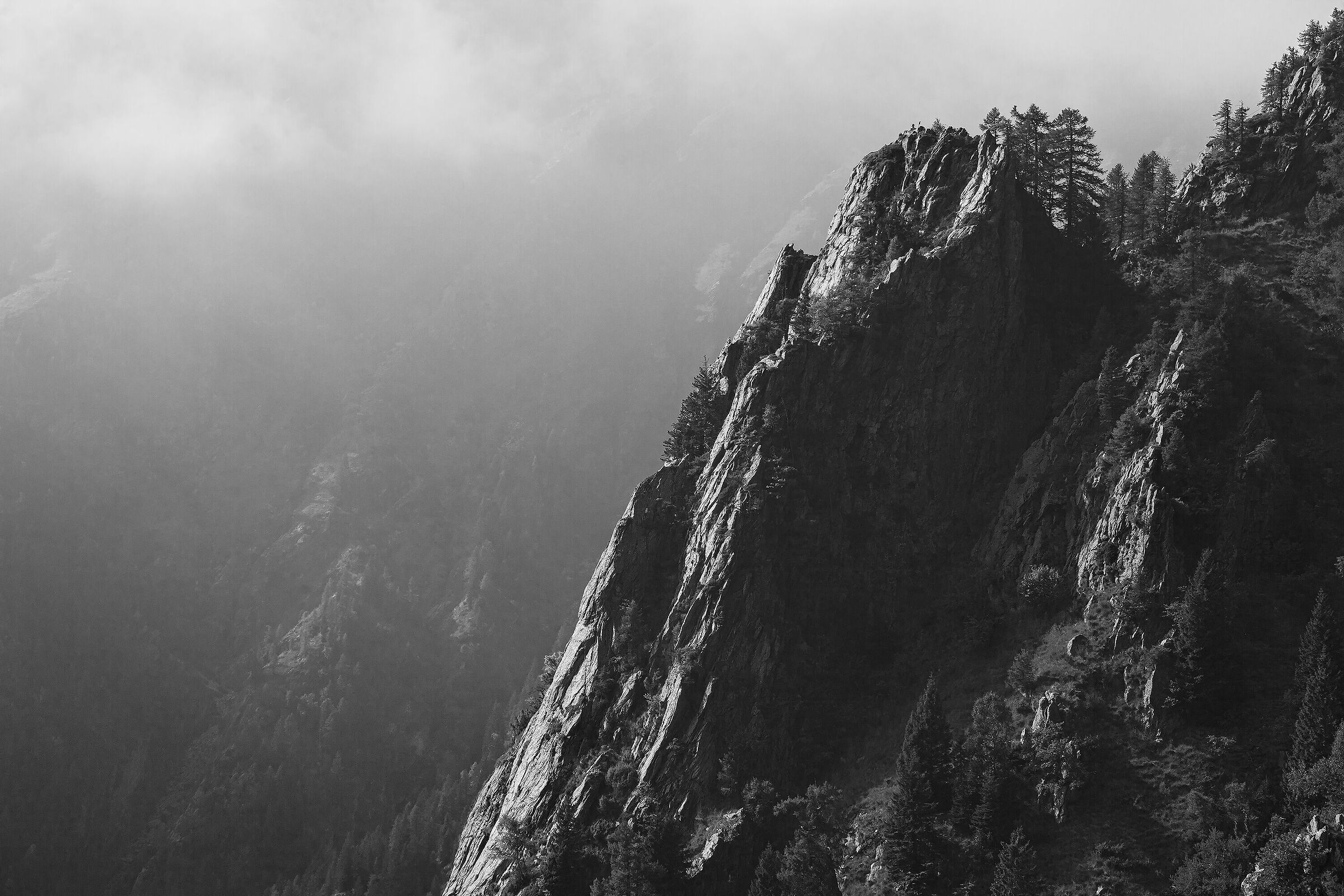 Dove osano le aquile