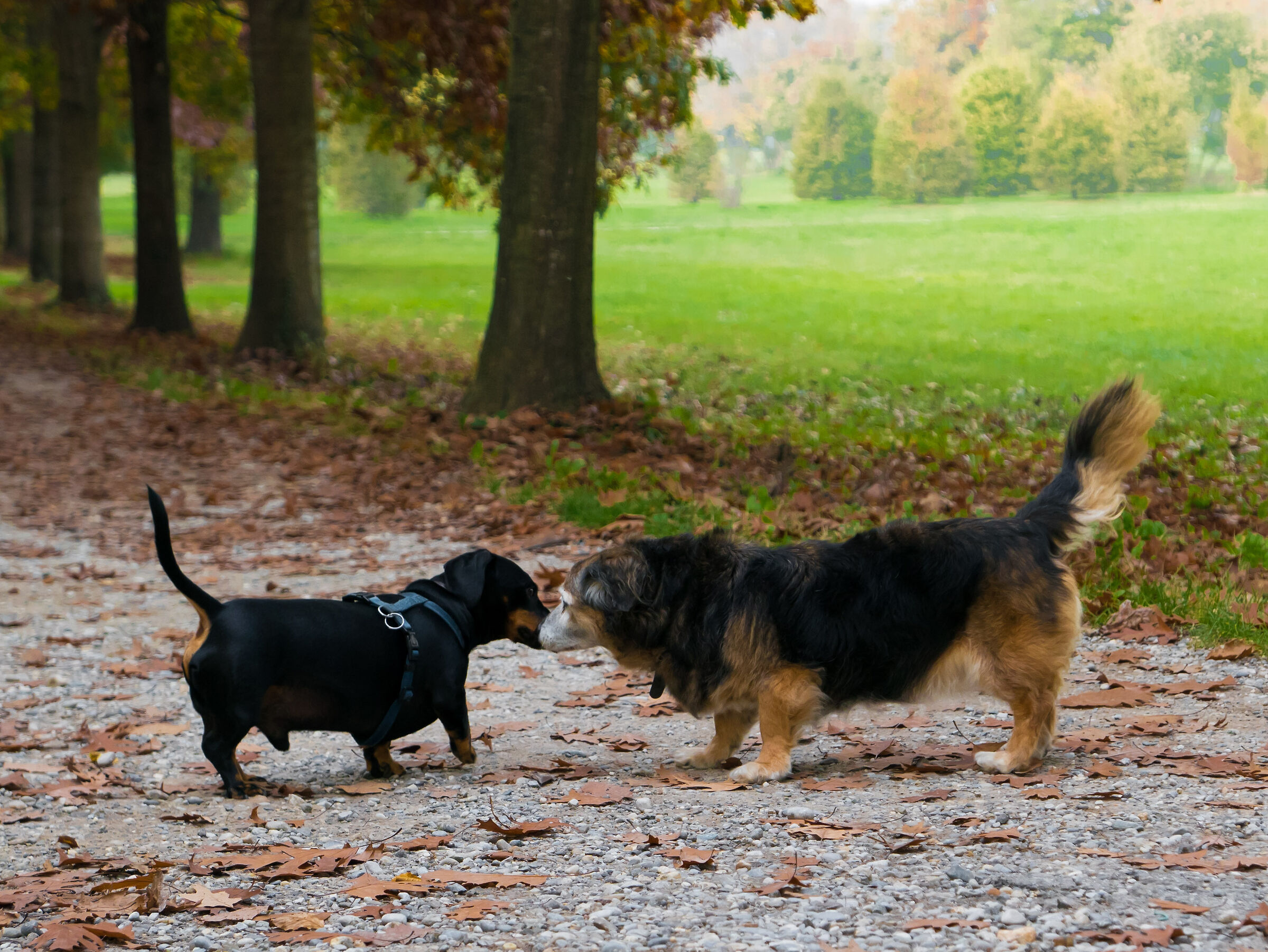 We have to be close together