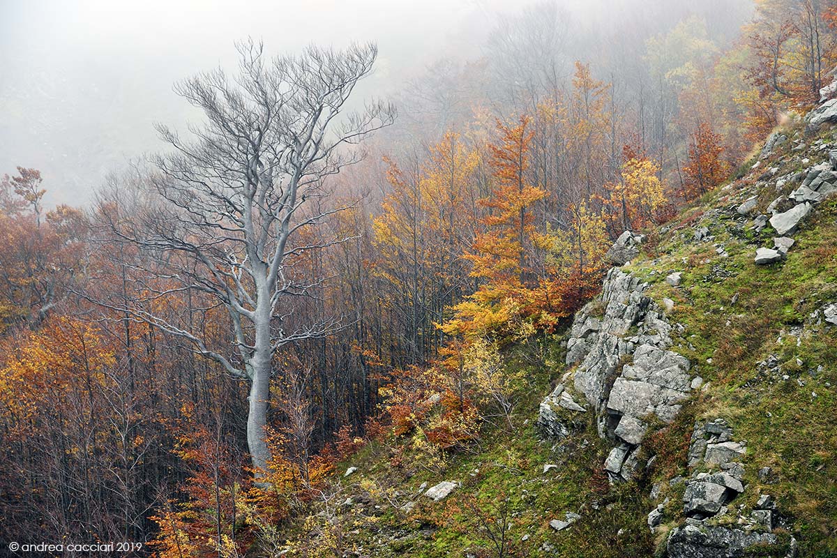 Autunno sul Libro Aperto
