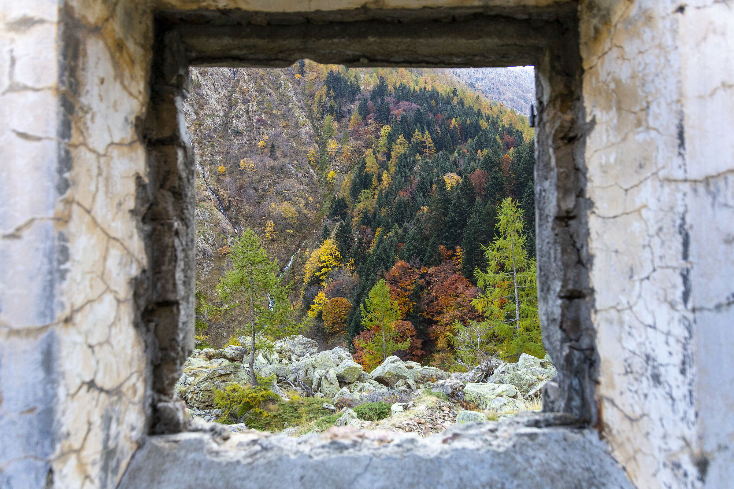 Vallone di Sant'Anna foliage