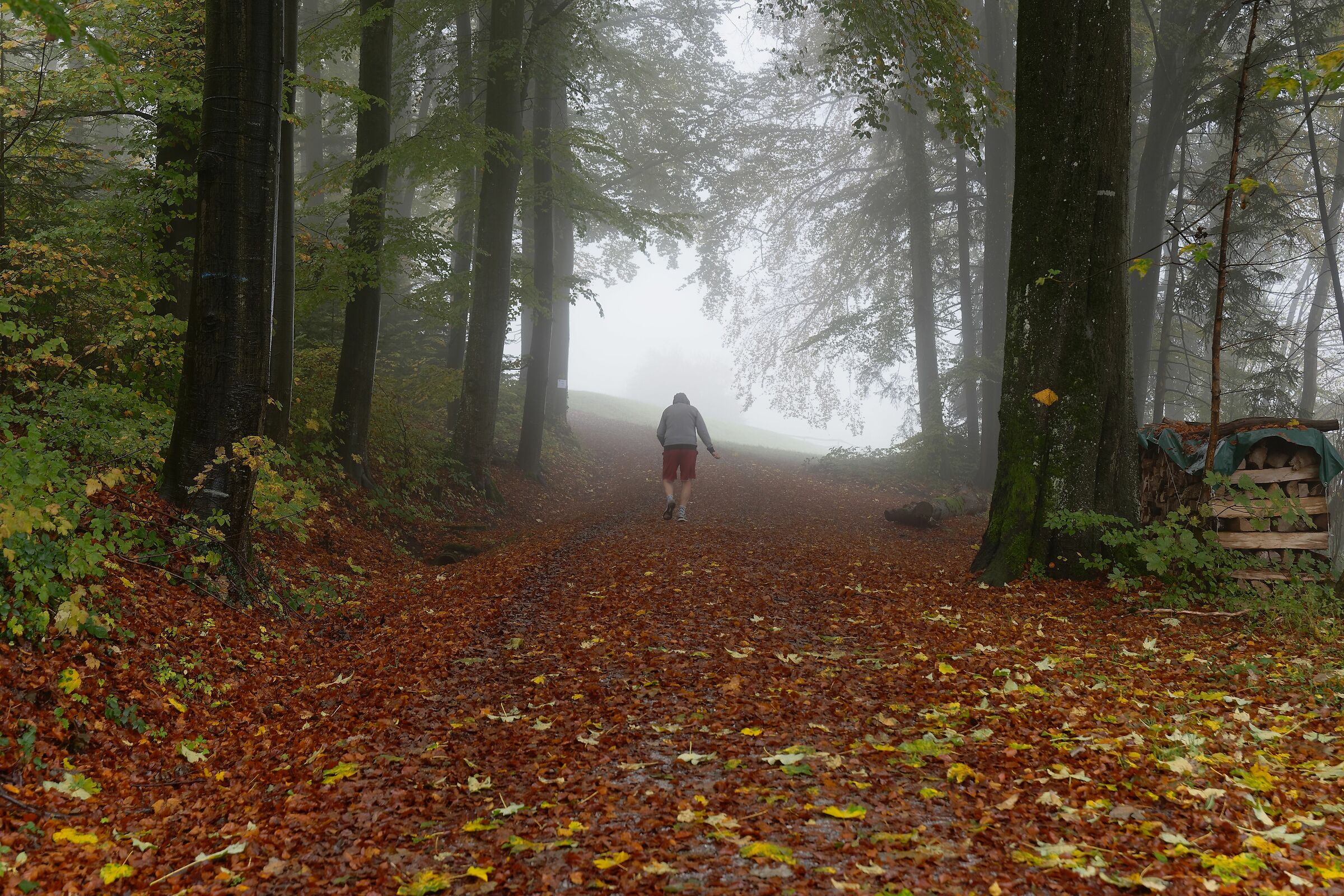 Walking into the unknown