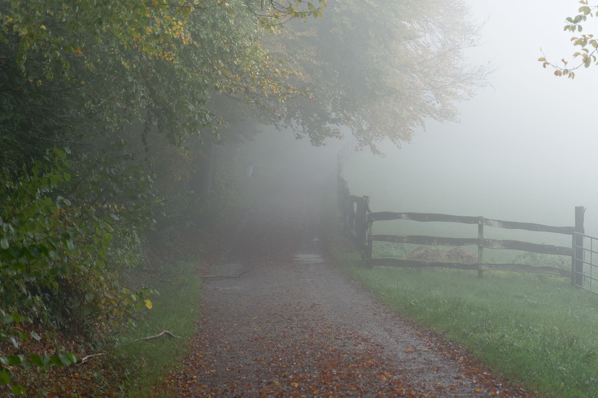 The unknown path... who knows where it's going to take me...