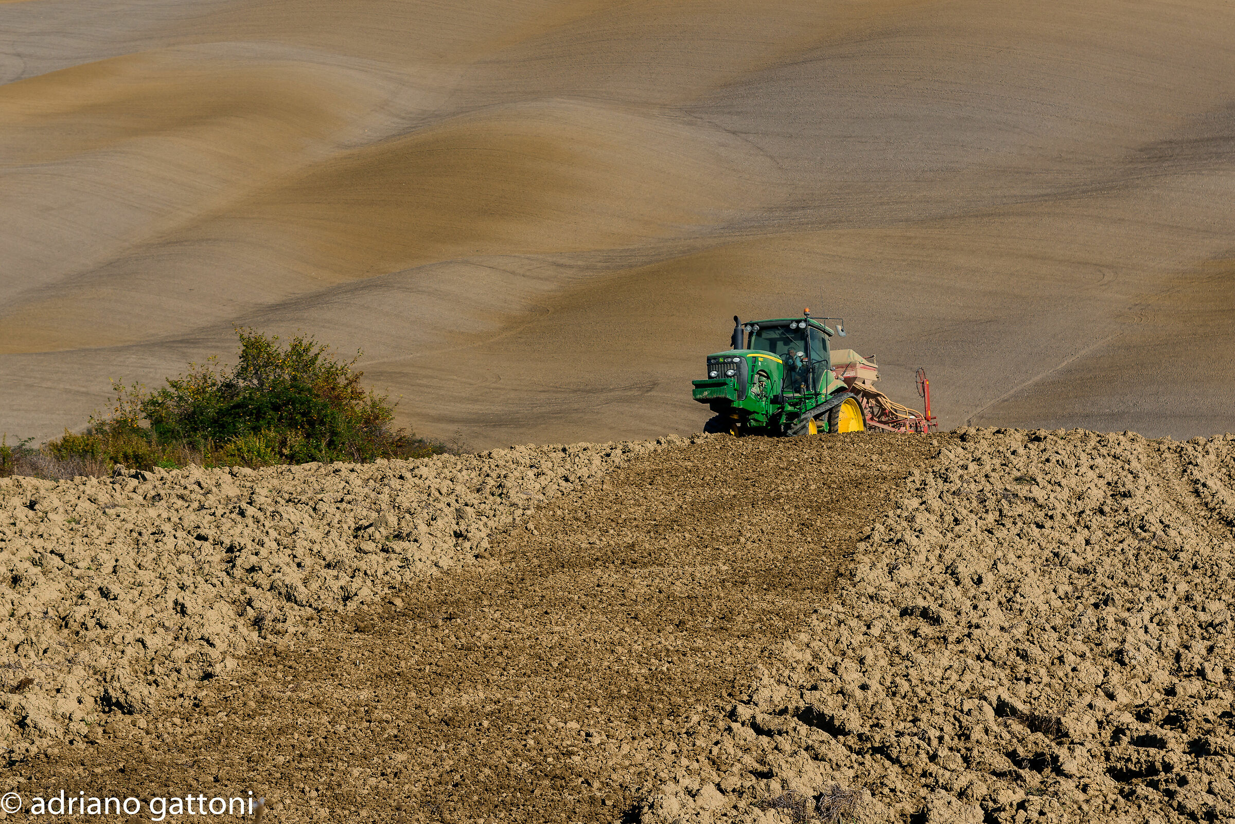 Così pettino la collina
