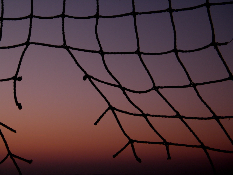 ... oltre la rete ...