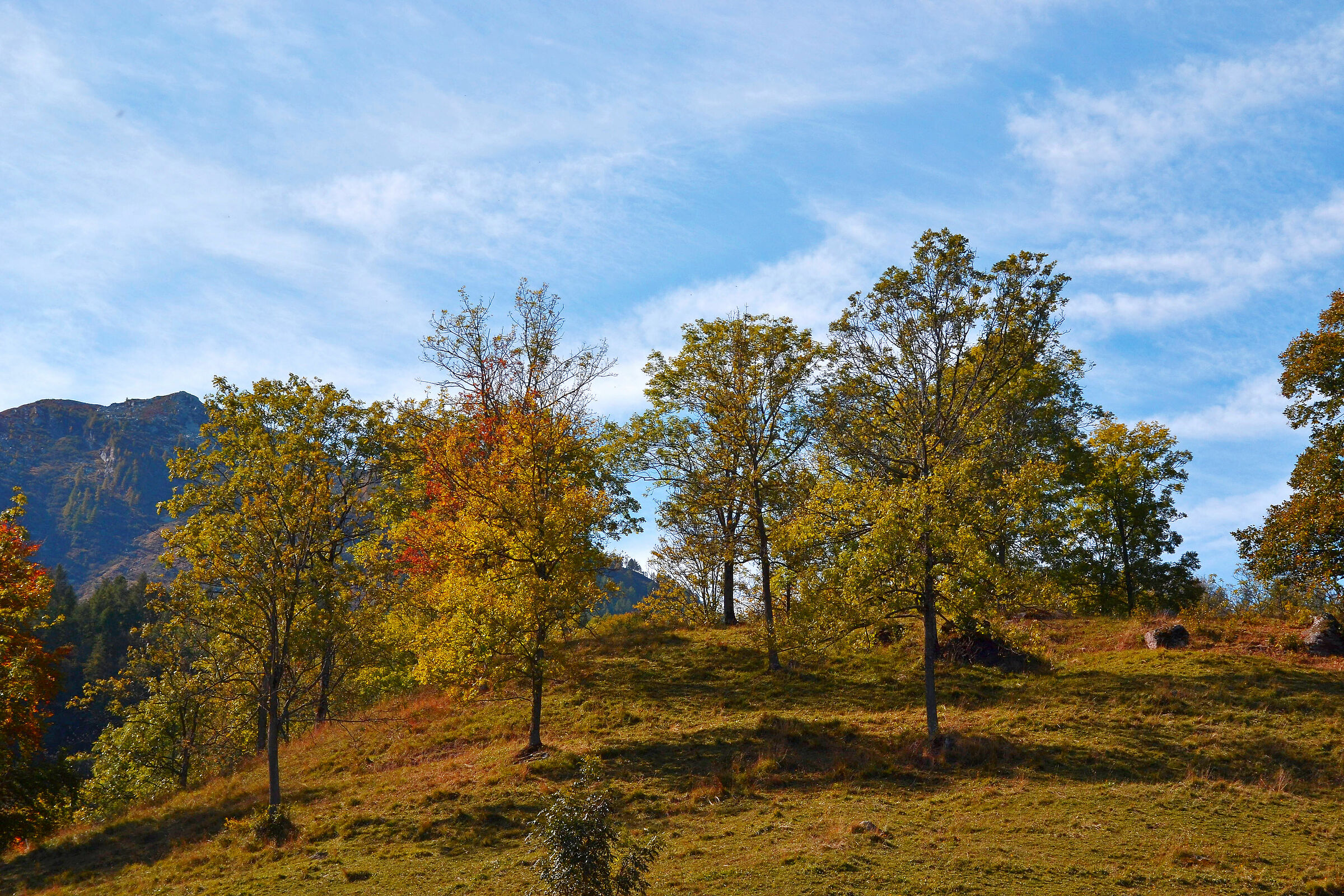 principio d'autunno